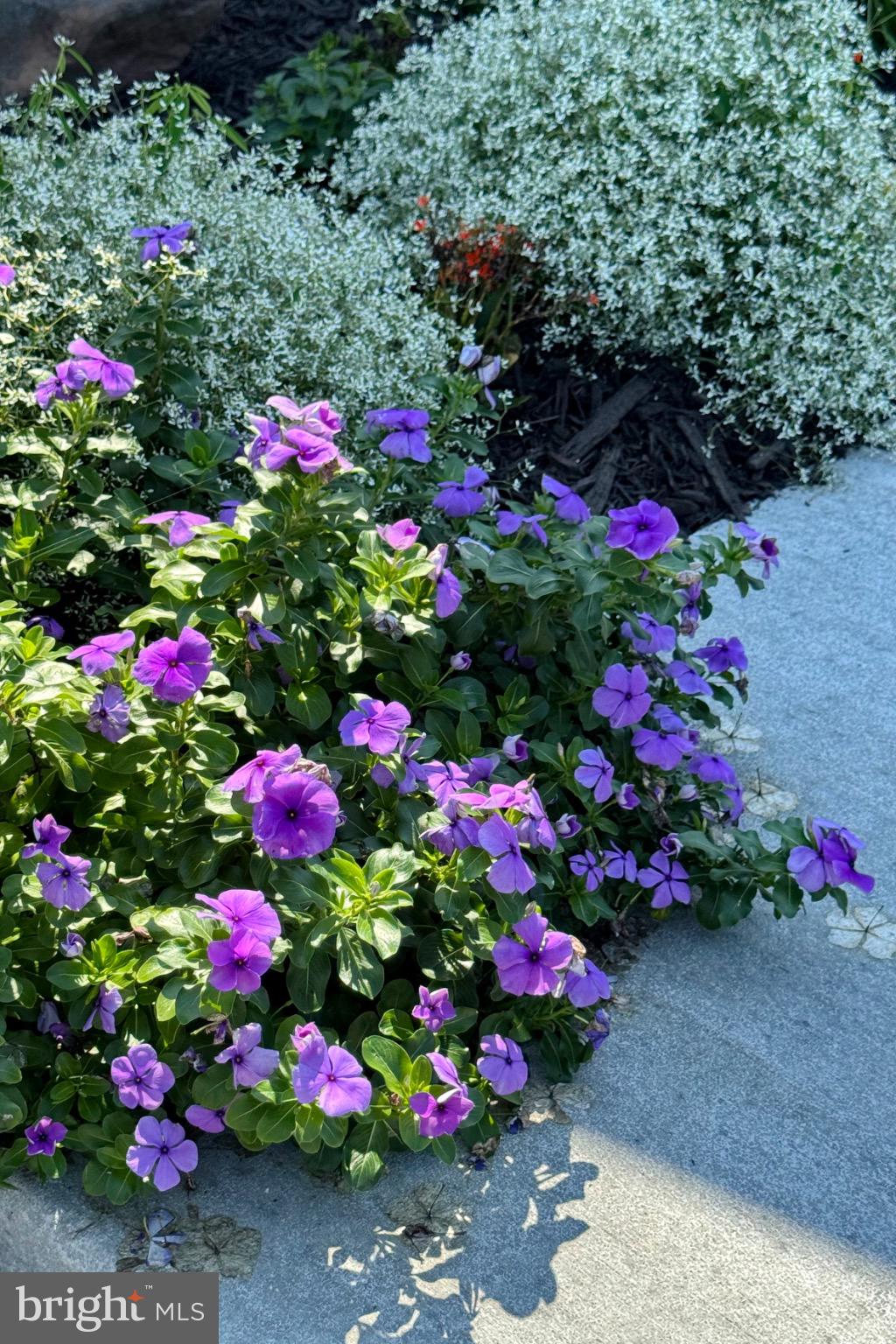 MARIELLEN PARK SUB - Residential