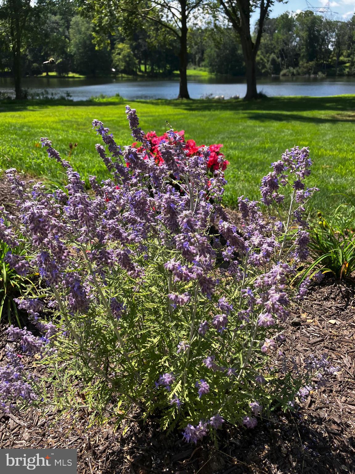 HILLOCH MANOR - Residential