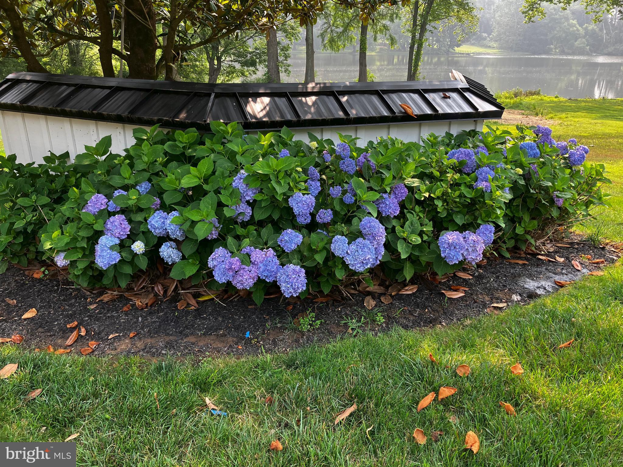 HILLOCH MANOR - Residential