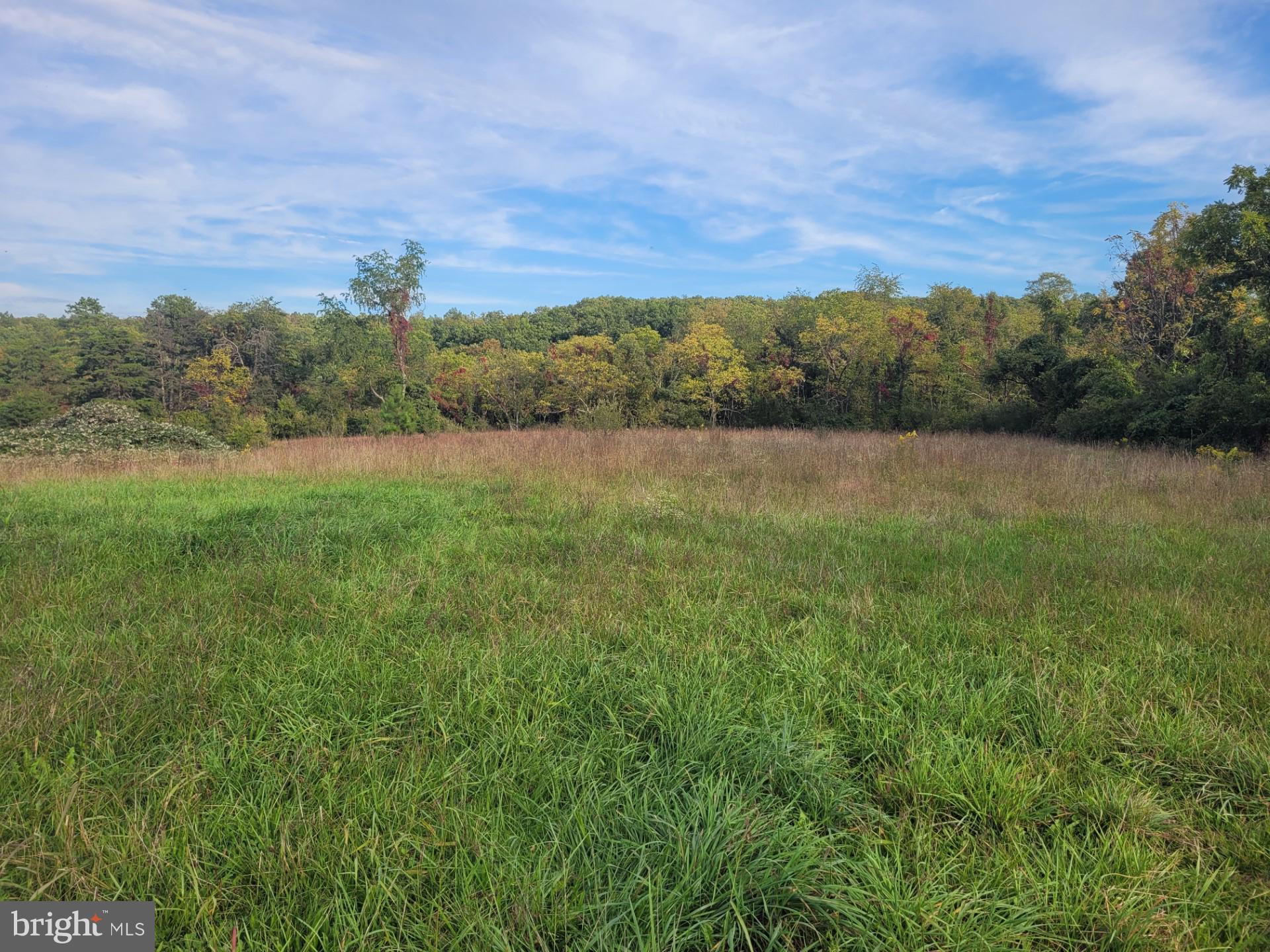 NONE AVAILABLE - Land