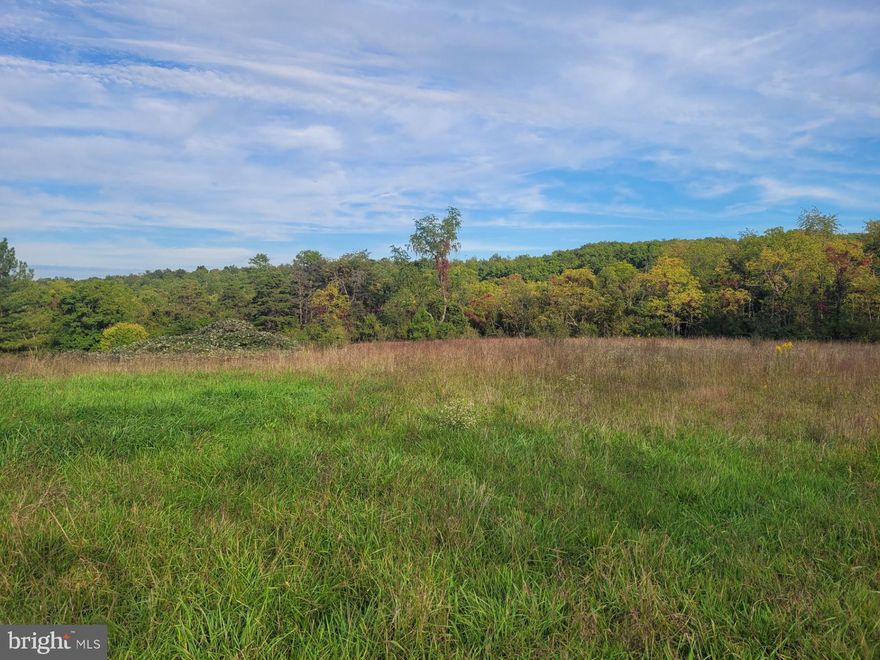 THIS 6 ACRES IMPROVED BY WELL, SEPTIC, AND ELECTRIC HAS ALOT TO OFFER! THIS PROPERTY IS AS LEVEL AS IT GETS, HALF CLEARED, HALF WOODED WITH SOME VERY MATURE HARDWOODS ON IT.  THIS LOT WOULD BE PERFECT FOR A NEW MOBILE HOME, CABIN, OR FULL TIME RESIDENCE. THE PROPERTY REALLY IS BEAUTIFUL, BREATHE IN THE FRESH MOUNATIN AIR, WATCH THE DEER STROLL THROUGH THE BACKYARD, IT BRINGS A PEACEFUL EASY FEELING. PROPERTY KNOWN AS LOT #1 AND #2 IN MEADOW BROOK S/D, ALTHOUGH H.O.A IS NOT ACTIVE. THERE IS A MOBILE HOME ON PROPERTY, WHICH IS OF LITTLE OR NO VALUE, REMOVAL OF MOBILE HOME IS NEGOTIABLE WITH A CONSIDERABLE DOWN PAYMENT. IF YOURE LOOKING FOR A SMALL TRACT OF LAND IN "ALMOST HEAVEN" WEST VIRGINIA, THIS IS IT!