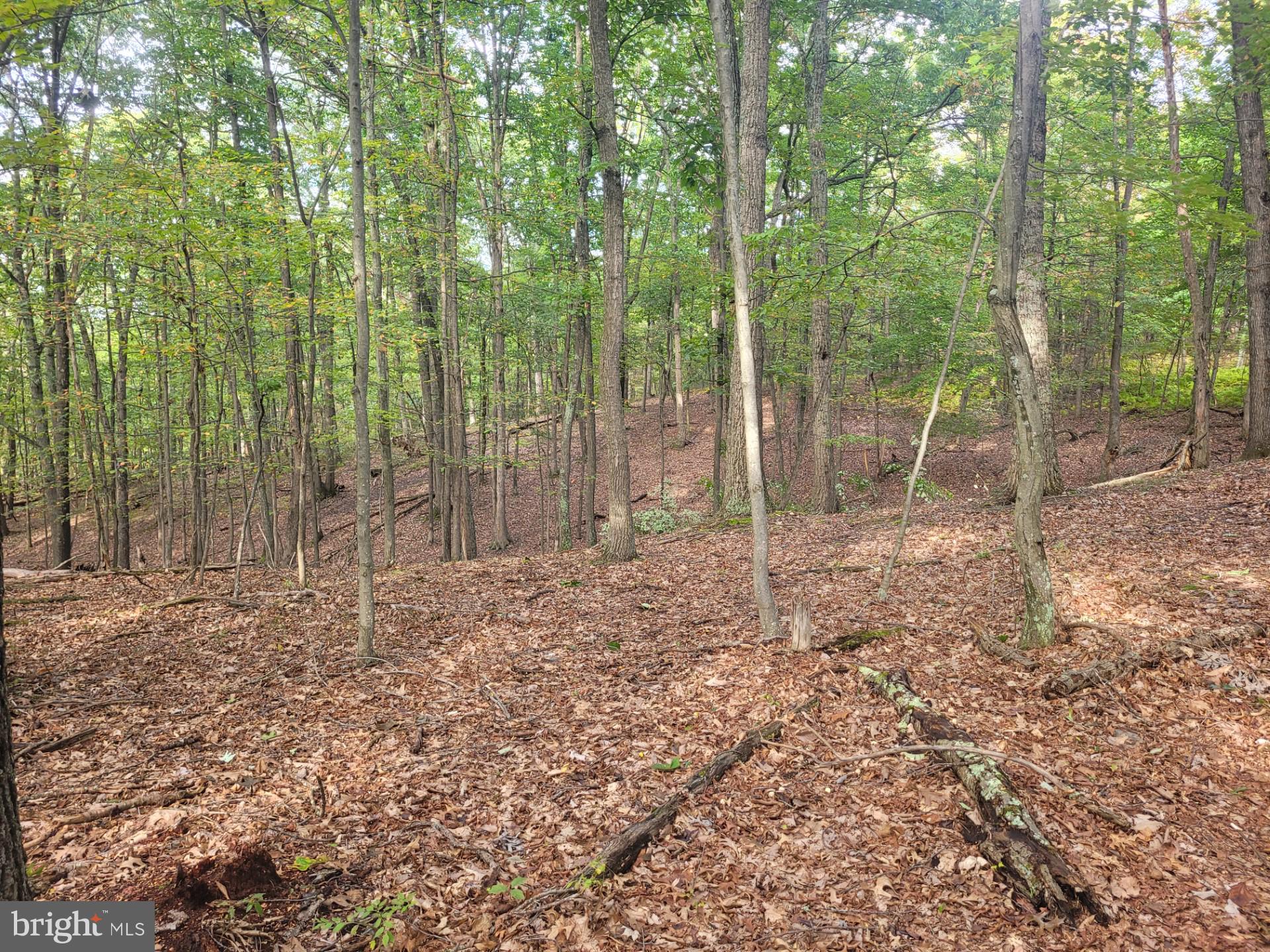 NONE AVAILABLE - Land