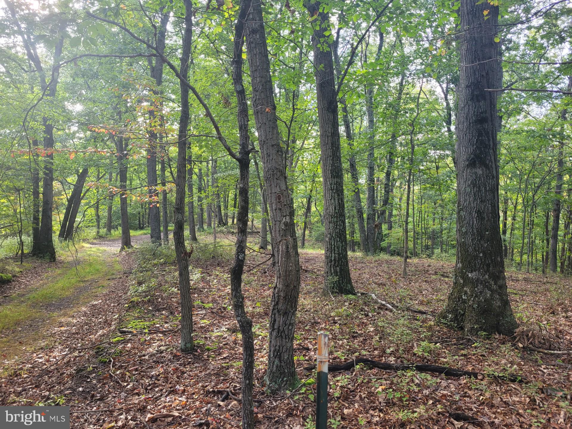 NONE AVAILABLE - Land