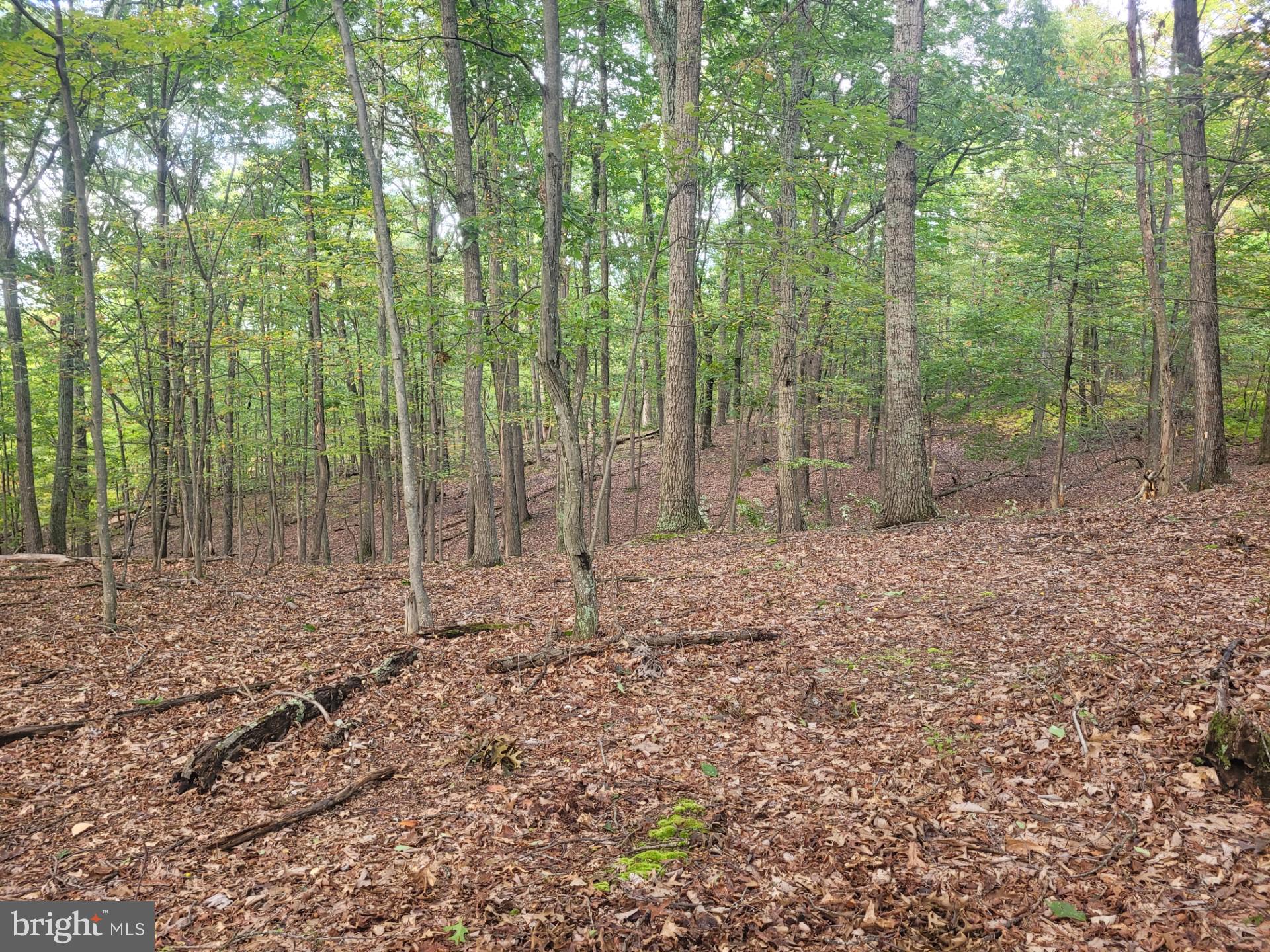 NONE AVAILABLE - Land