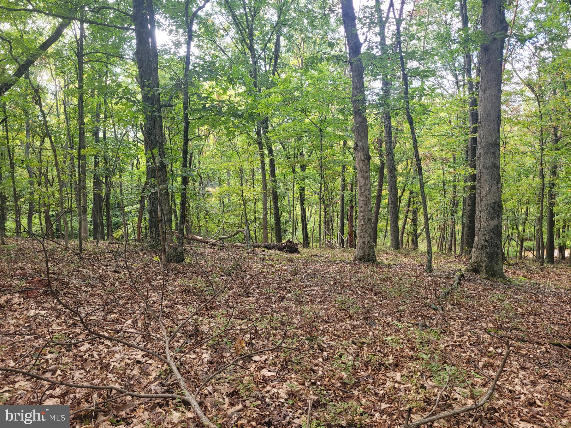 NONE AVAILABLE - Land