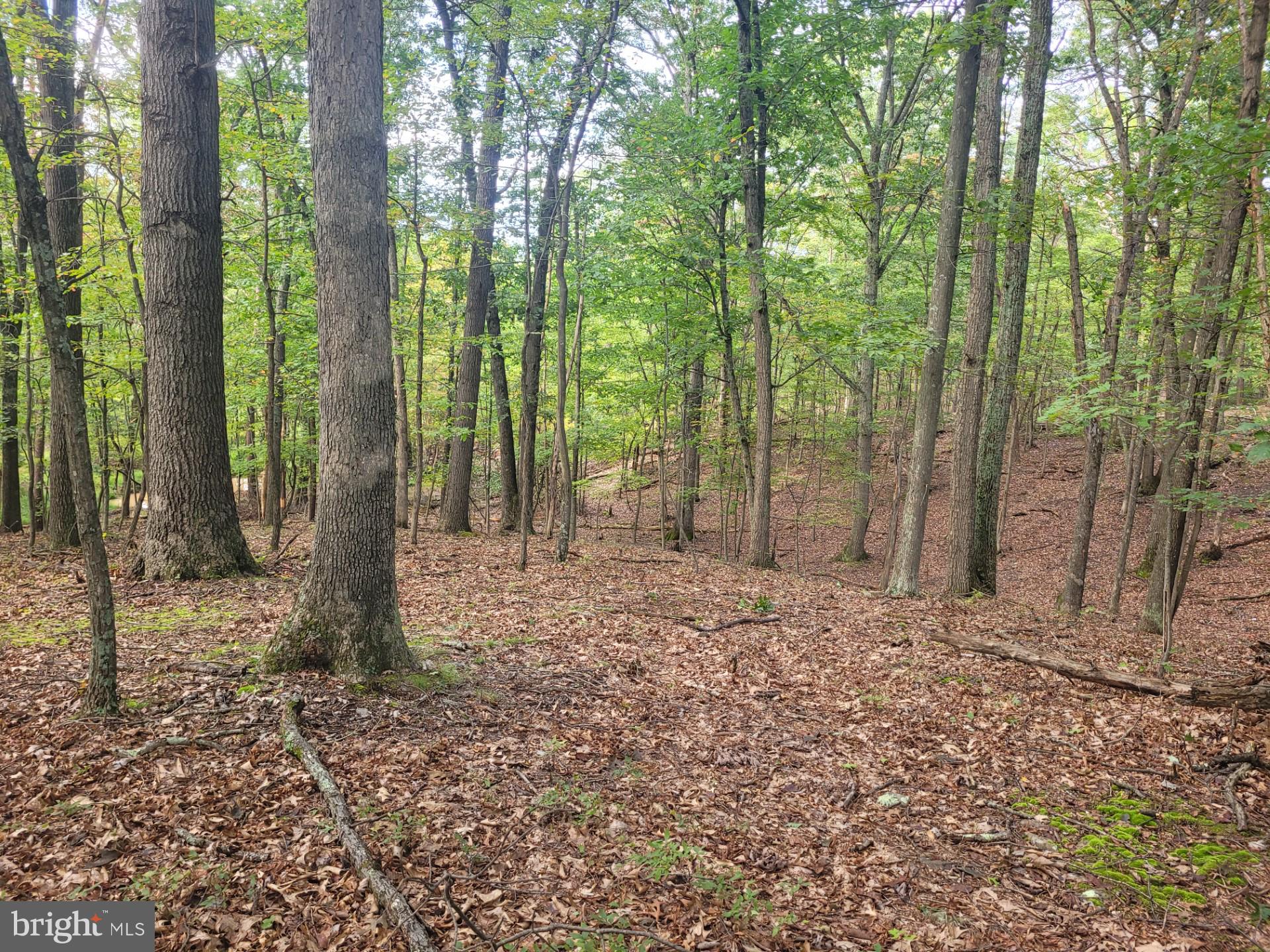 NONE AVAILABLE - Land