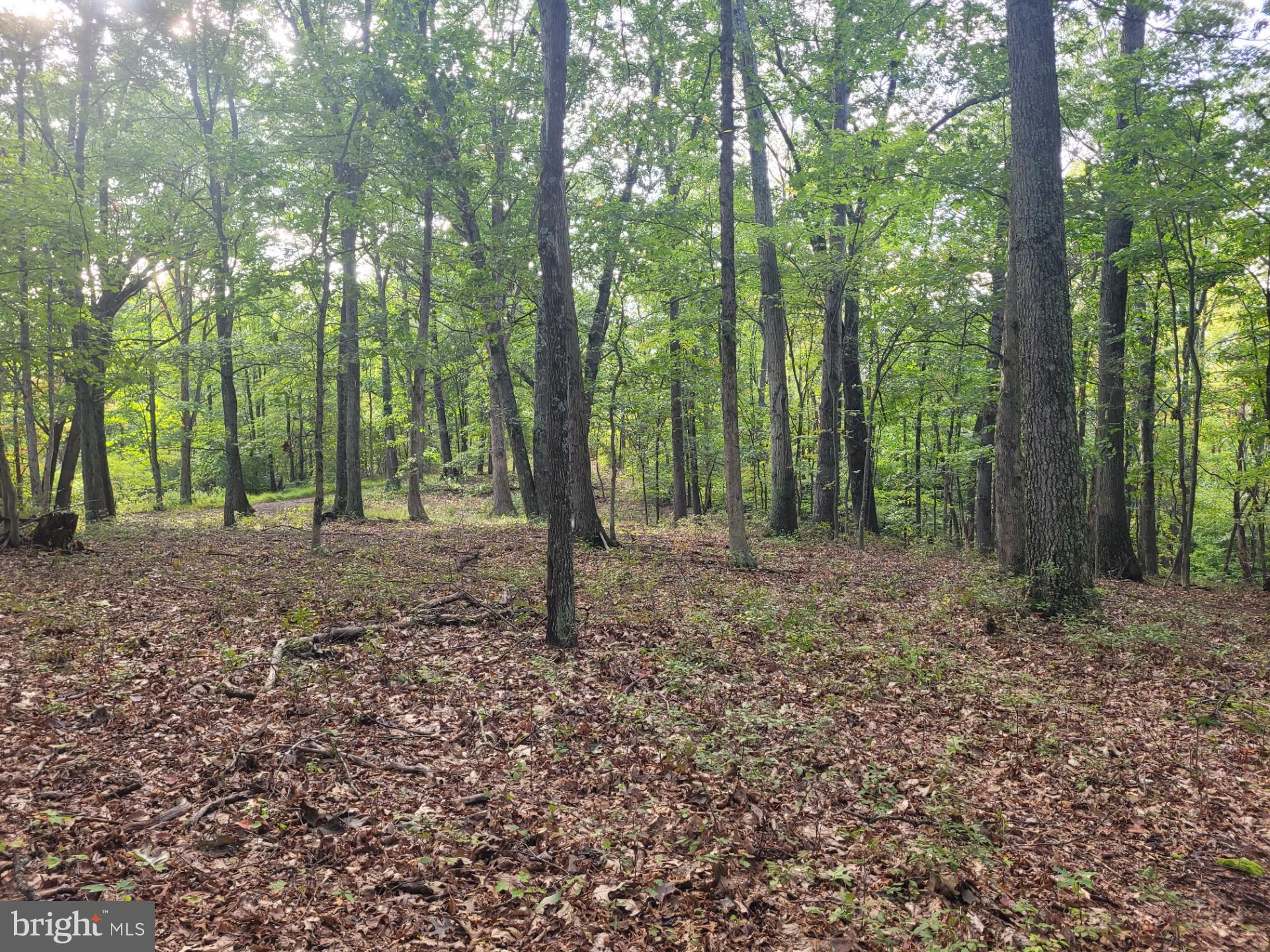 NONE AVAILABLE - Land