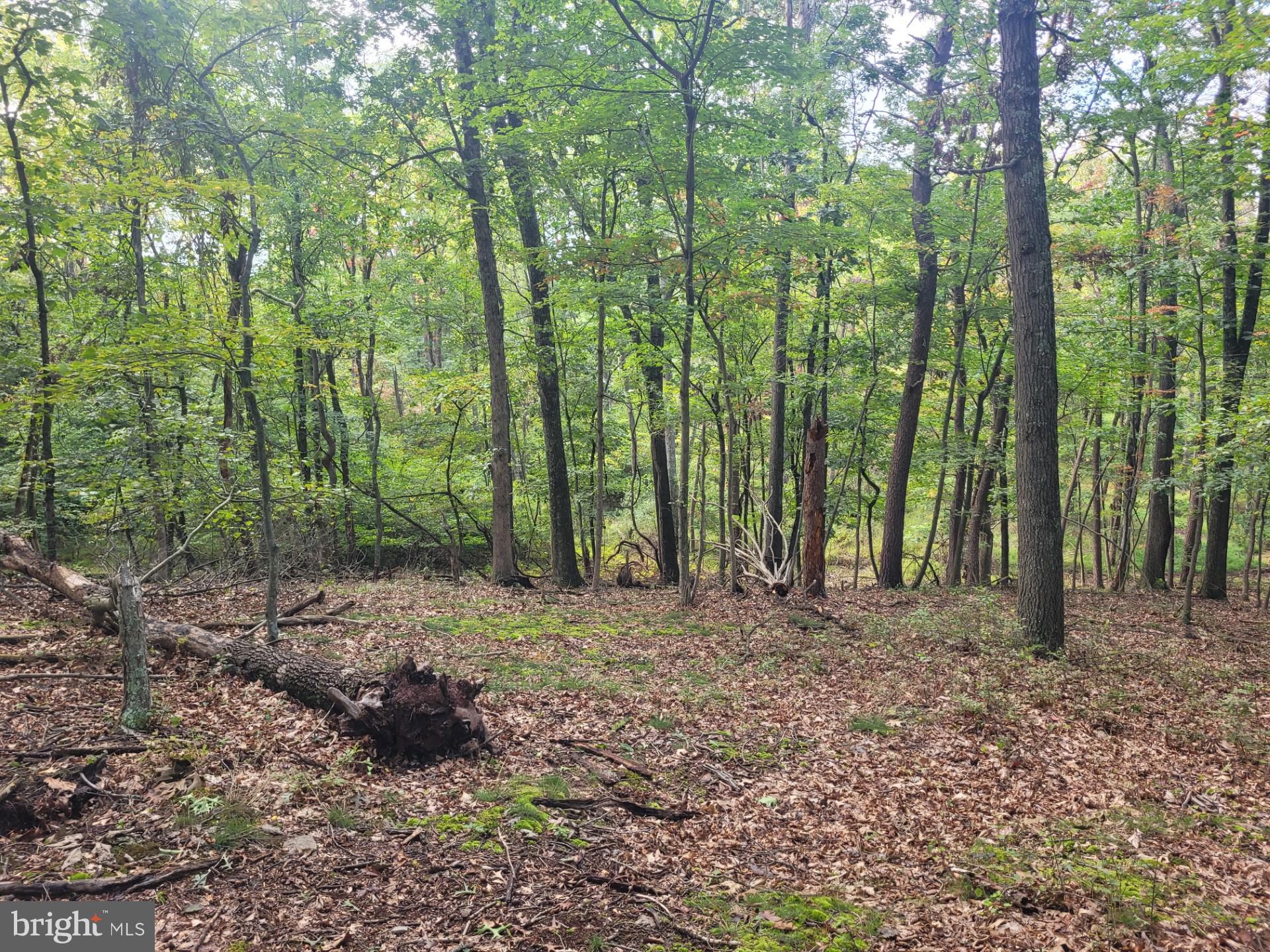 NONE AVAILABLE - Land