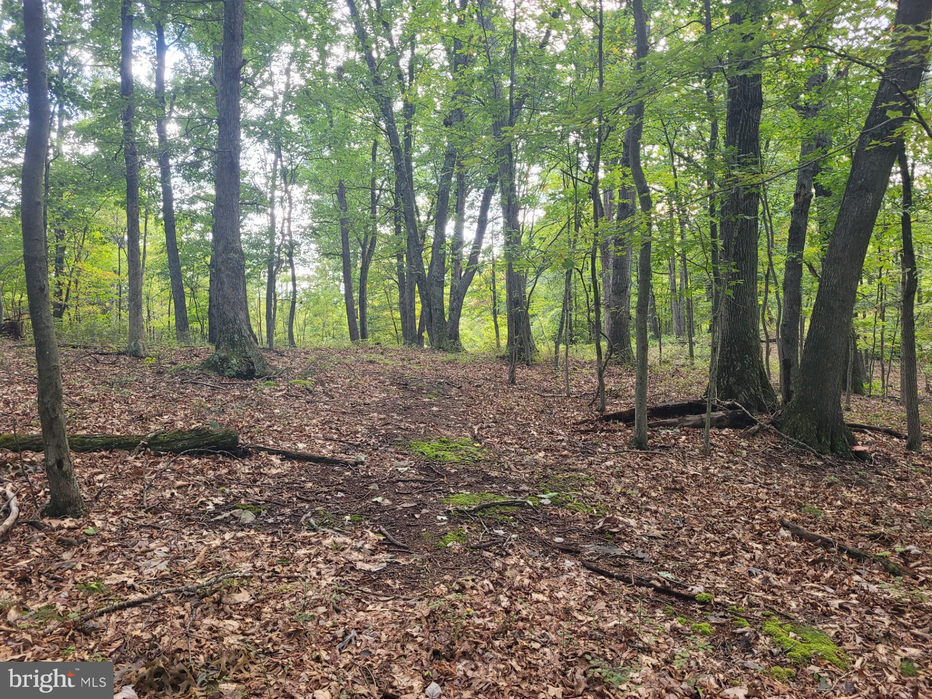 NONE AVAILABLE - Land