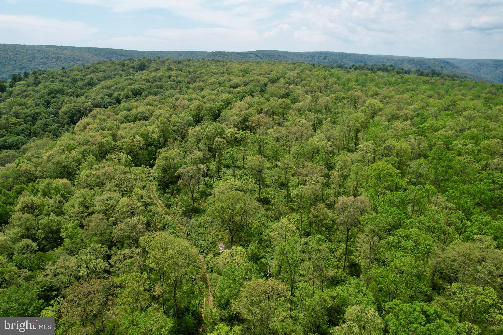 11 BEECH CREEK MOUNTAIN ROAD