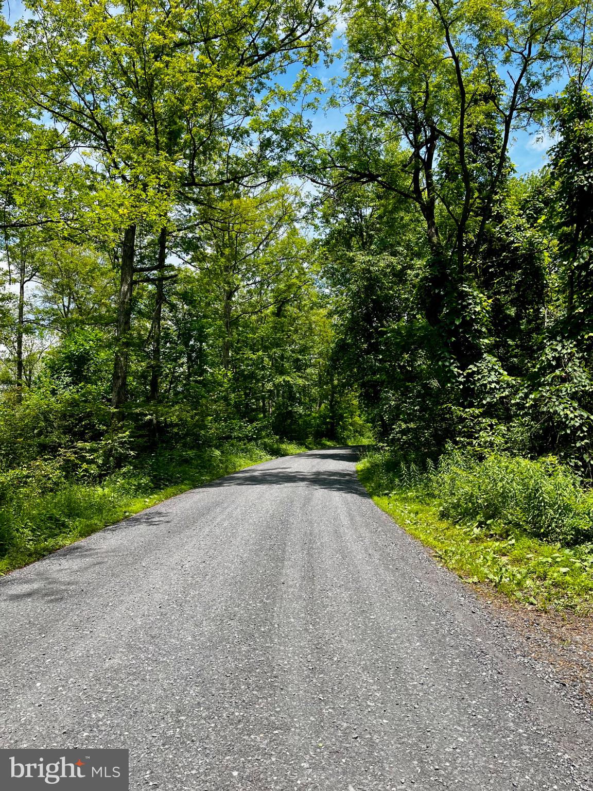 11 BEECH CREEK MOUNTAIN ROAD