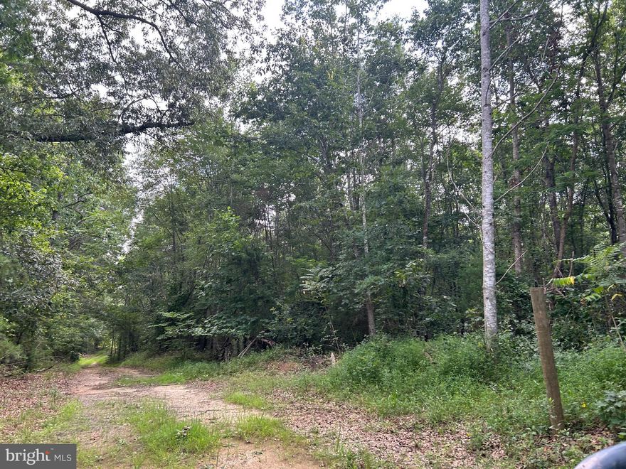 Building lot in a great location, no test done for septic or well, this lot is private and ready for your new home.
EASEMENT ENTRANCE WILL IS DEEDED ON BICKERS LN..