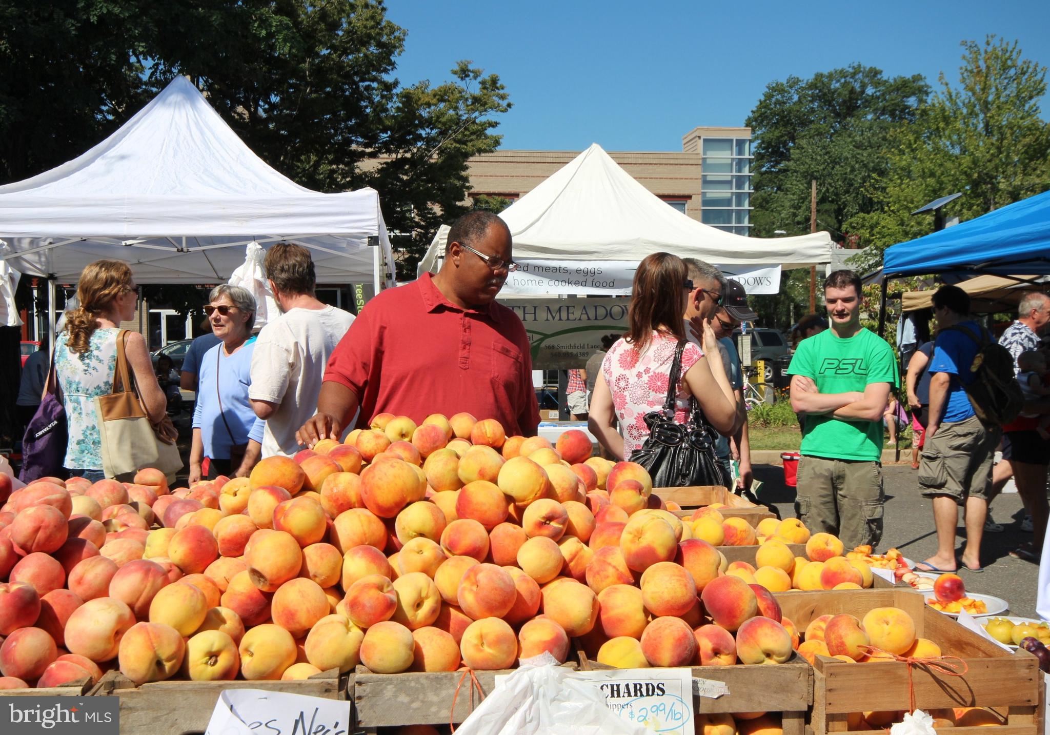 DEL RAY - Residential Lease