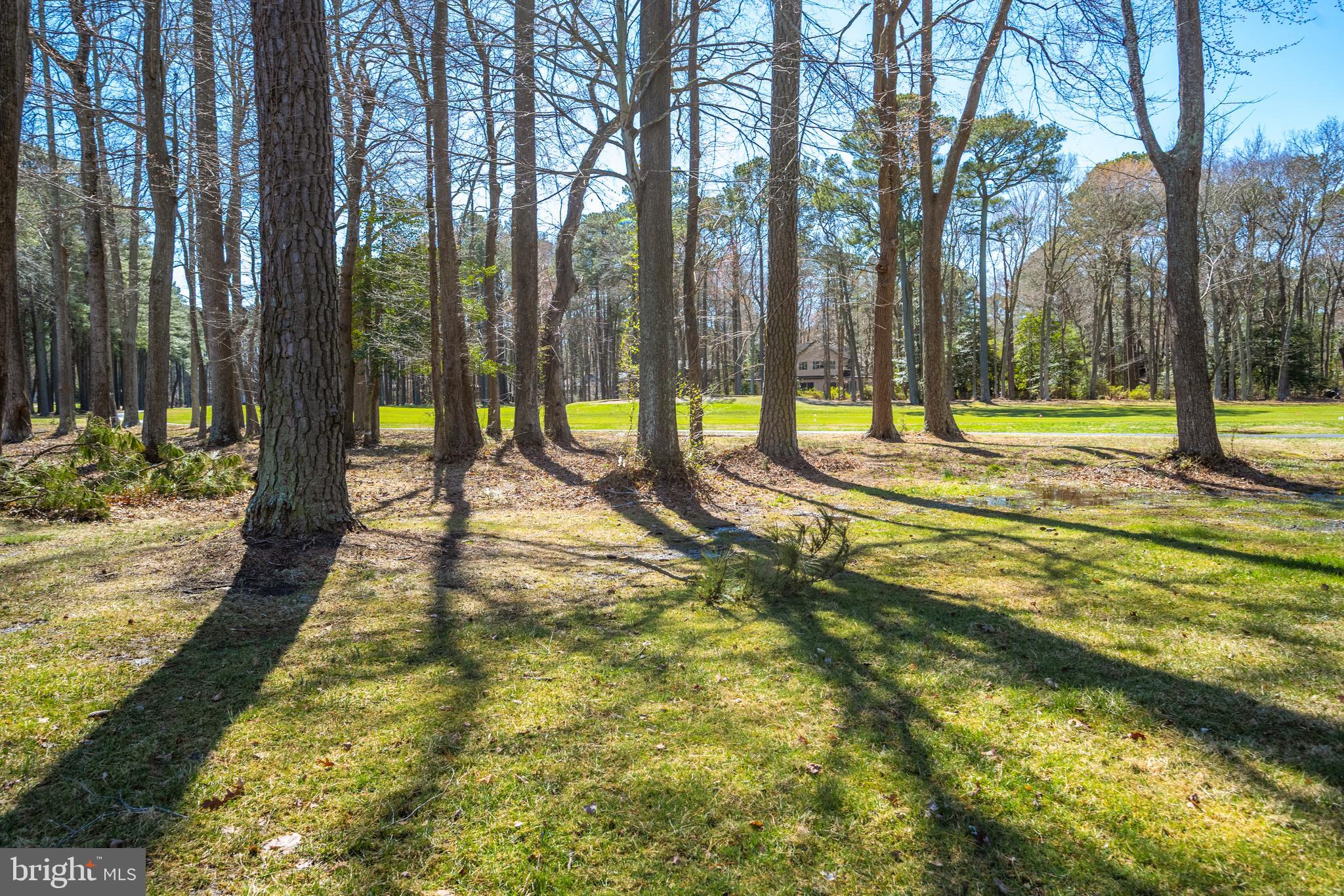 OCEAN PINES - INNERLINKS - Residential