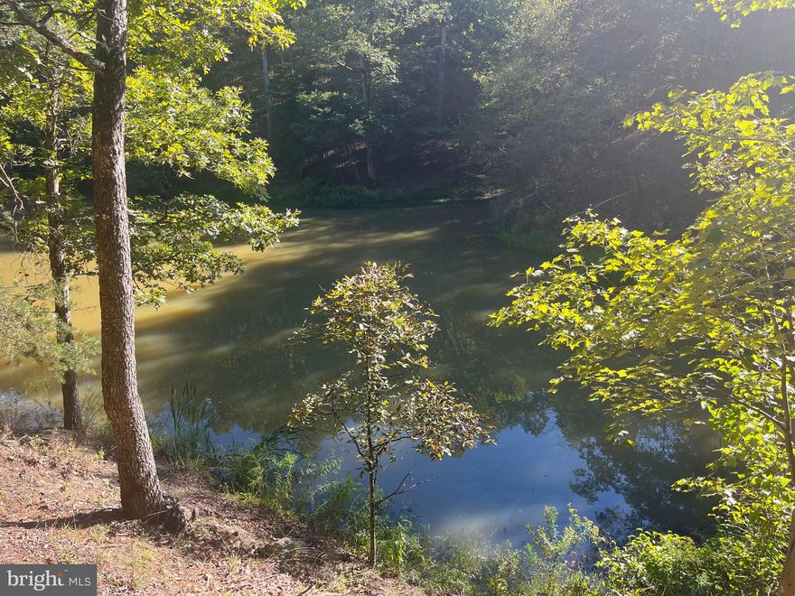 Unleash your outdoor enthusiast's dreams with this extraordinary 16.19-acre parcel in beautiful Hampshire County, WV, just in time for hunting season! Nestled amidst nature's splendor, this property offers endless possibilities for recreation, relaxation, and rustic living. With no restrictions, you're free to make this your ultimate getaway or dream homestead. Enjoy 16.19 acres of pristine wilderness in Hampshire County, WV, offering the perfect backdrop for outdoor adventures. Situated approximately 20 miles from Romney, WV, you're close to essential amenities while maintaining the tranquility of country living. This property is a hunter's paradise with abundant wildlife and ample room to explore. With hunting season around the corner, it's the ideal spot to track game and create lasting memories.  A picturesque 1/2-acre pond graces the land, providing not only a serene spot for fishing but also a stunning focal point for your property. Included on the property is an 'as is' cabin and a trailer, offering immediate shelter and potential for restoration, but currently uninhabitable. These structures provide a starting point for your rustic retreat or hunting camp.
With unrestricted land, your imagination is the limit. Whether you envision a private hunting haven, an off-grid cabin retreat, or a sustainable homestead, this property has the space and freedom to accommodate your vision.

Don't miss this rare opportunity to own a piece of Hampshire County's unspoiled wilderness, complete with a pond, cabin, and trailer. Embrace the great outdoors and make this your own sanctuary. Contact us today to schedule a viewing and seize this unique chance to escape to nature's embrace."