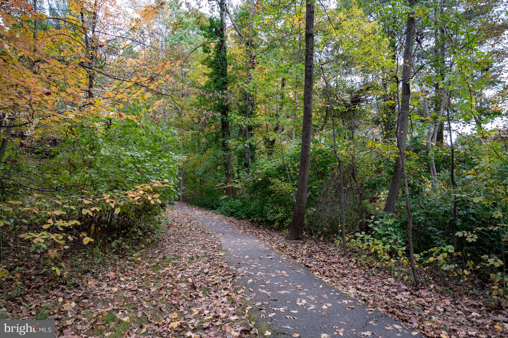 BURKE CENTRE - Residential
