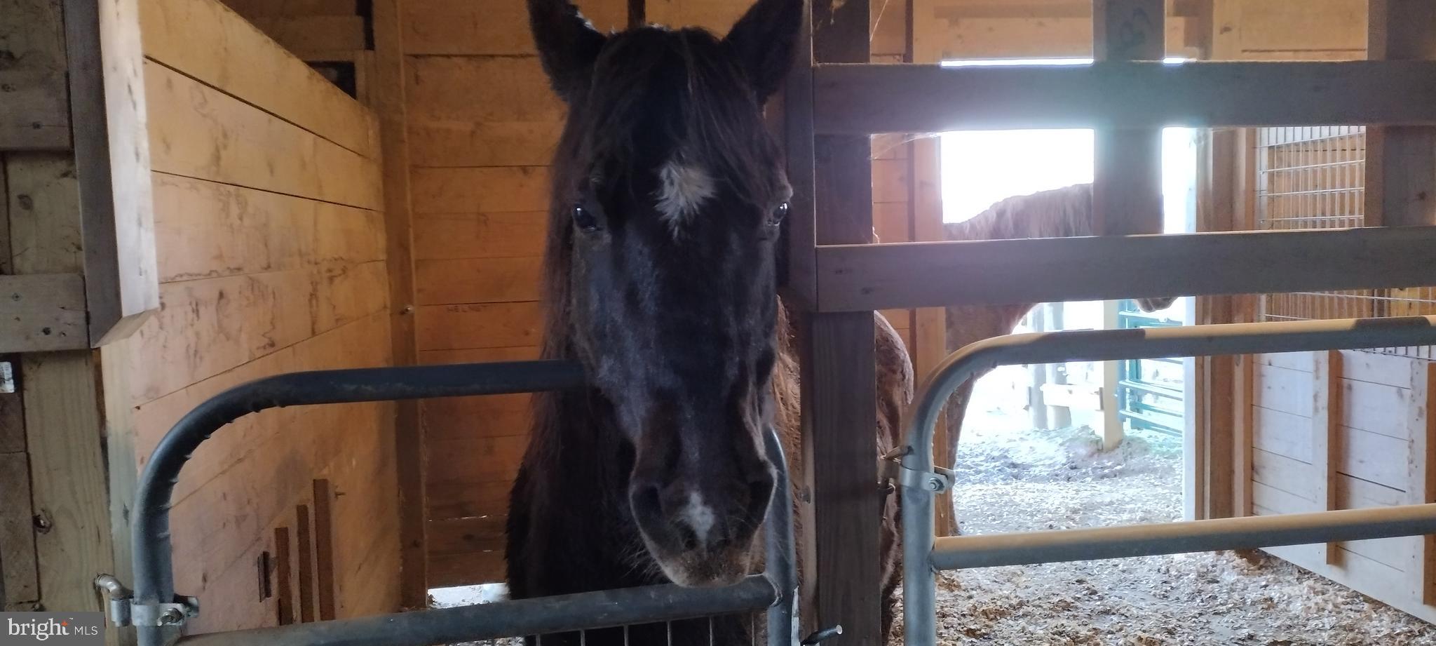 MIDDLETOWN - Residential