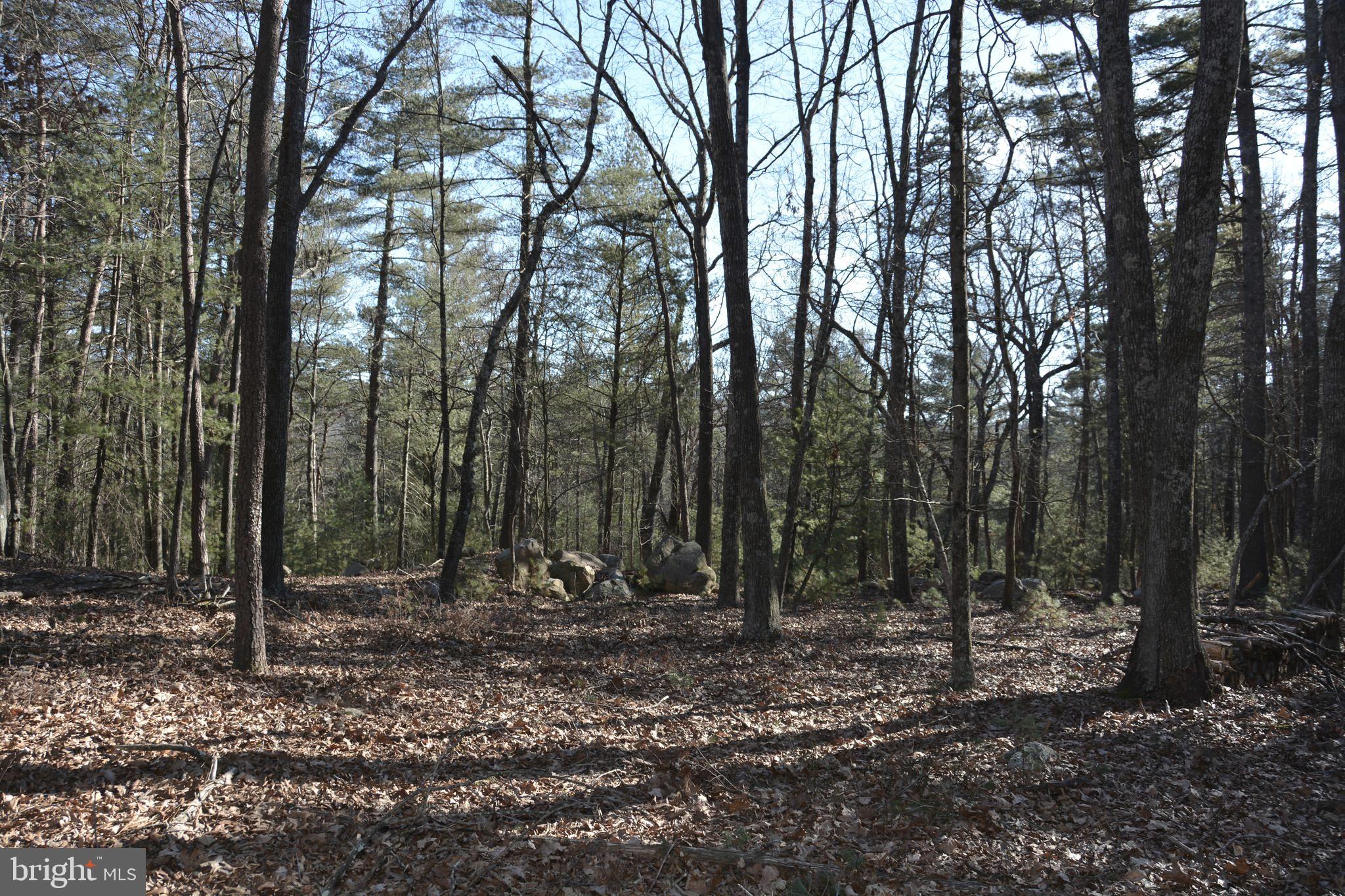 QUAKER WOODS - Residential