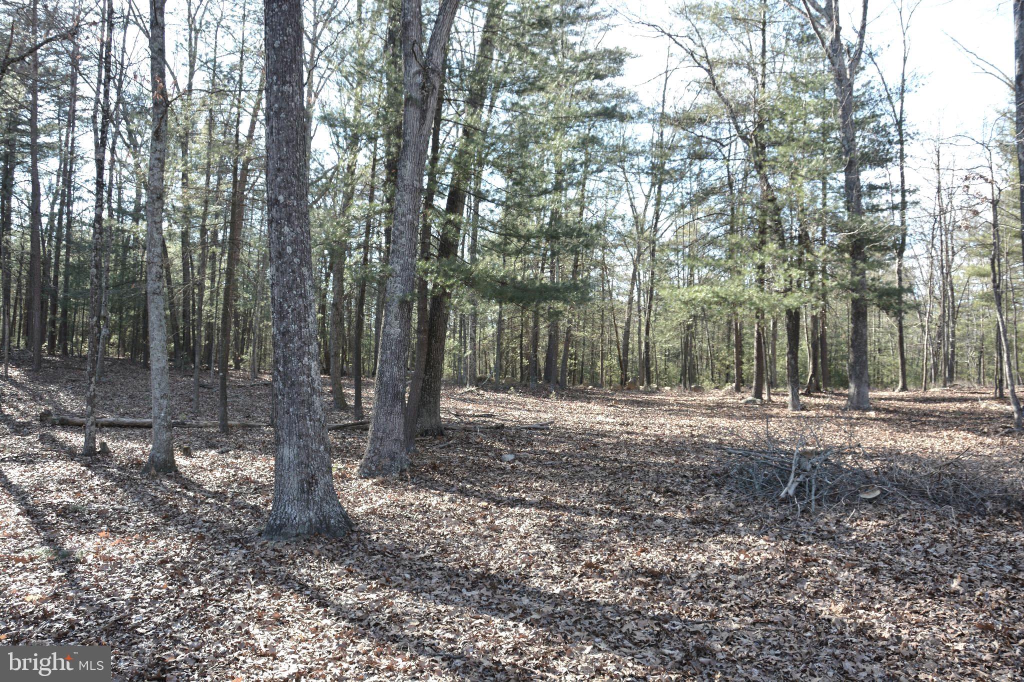 164 QUAKER WOODS LANE