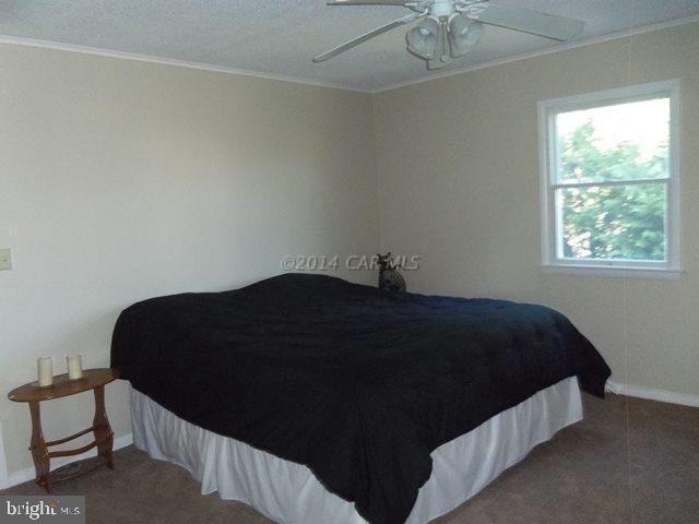 CAINE WOODS - Residential