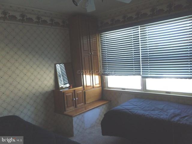 CAINE WOODS - Residential