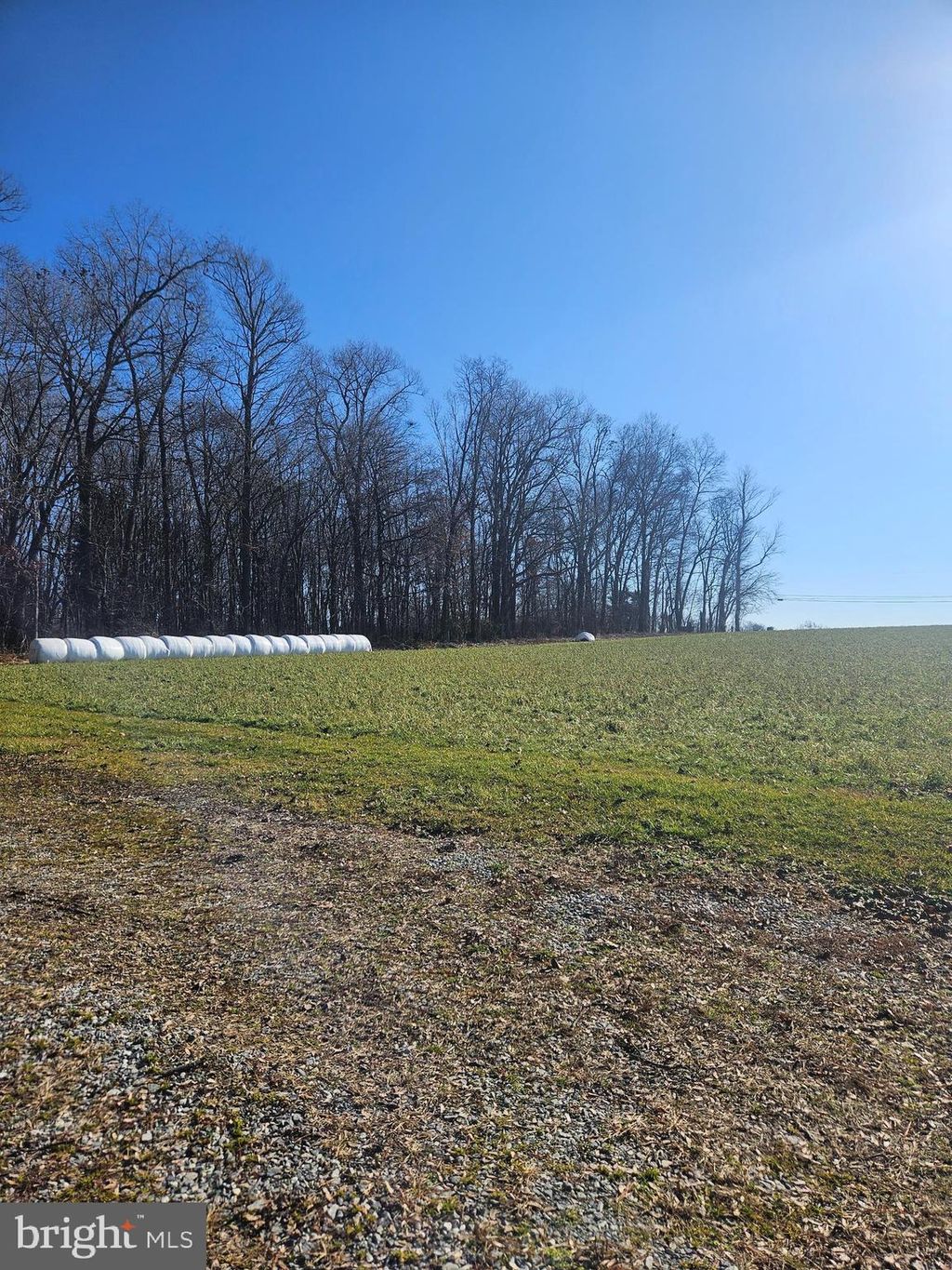 Photo of 2856 Zink Road, Manheim, PA 17545 (MLS # PALA2046896)