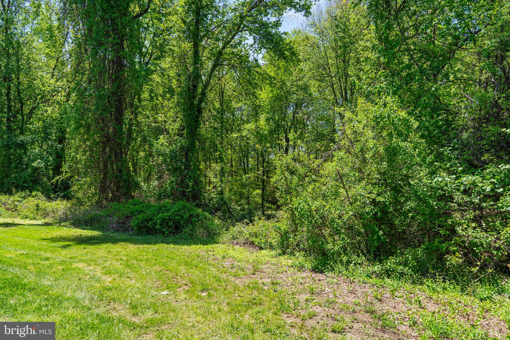 ELVATON TOWNE CONDO - Residential Lease