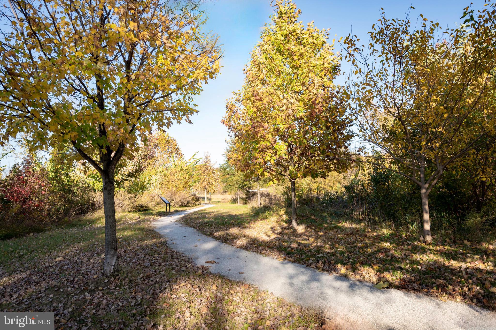 GRAY MANOR - Residential