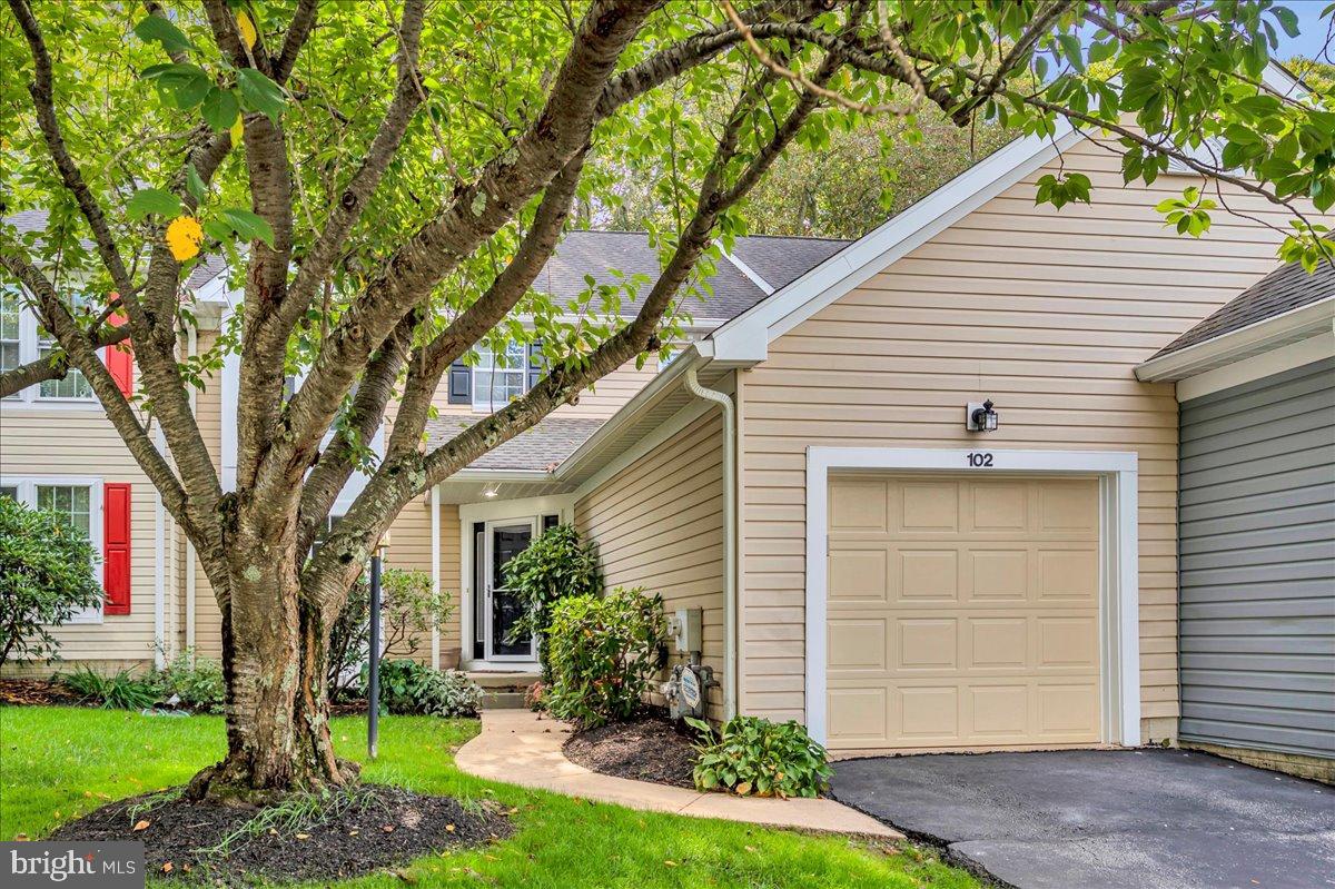 BALMORAL - Residential