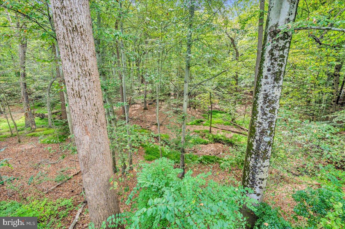 BALMORAL - Residential