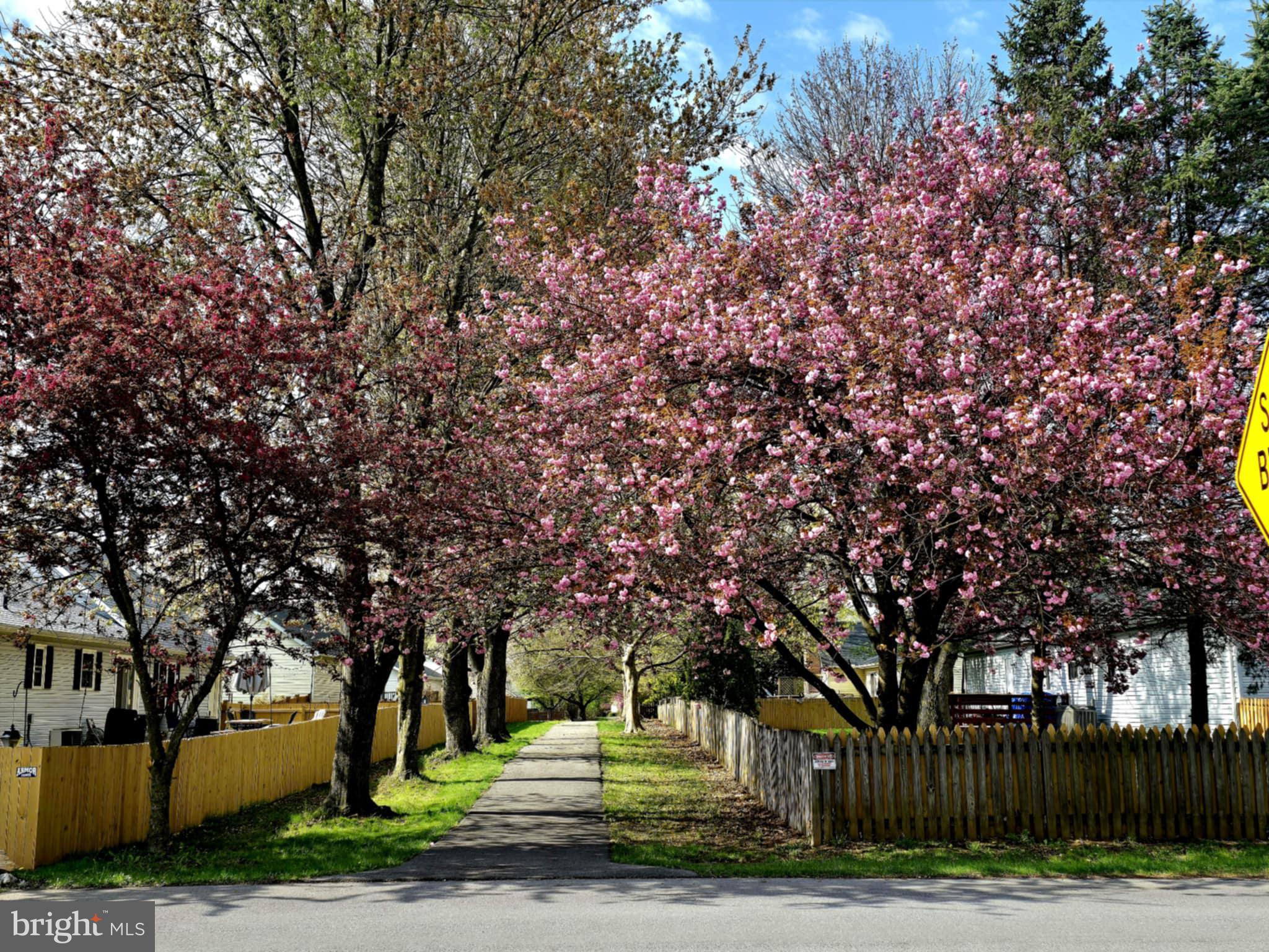 SPRING MILLS - Residential