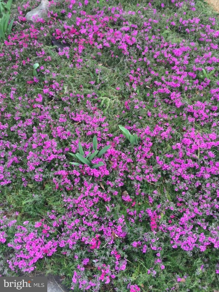 TWINBROOK - Residential