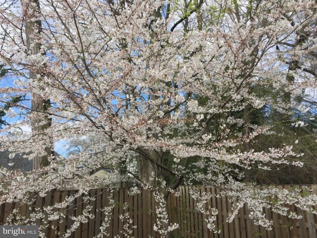 TWINBROOK - Residential