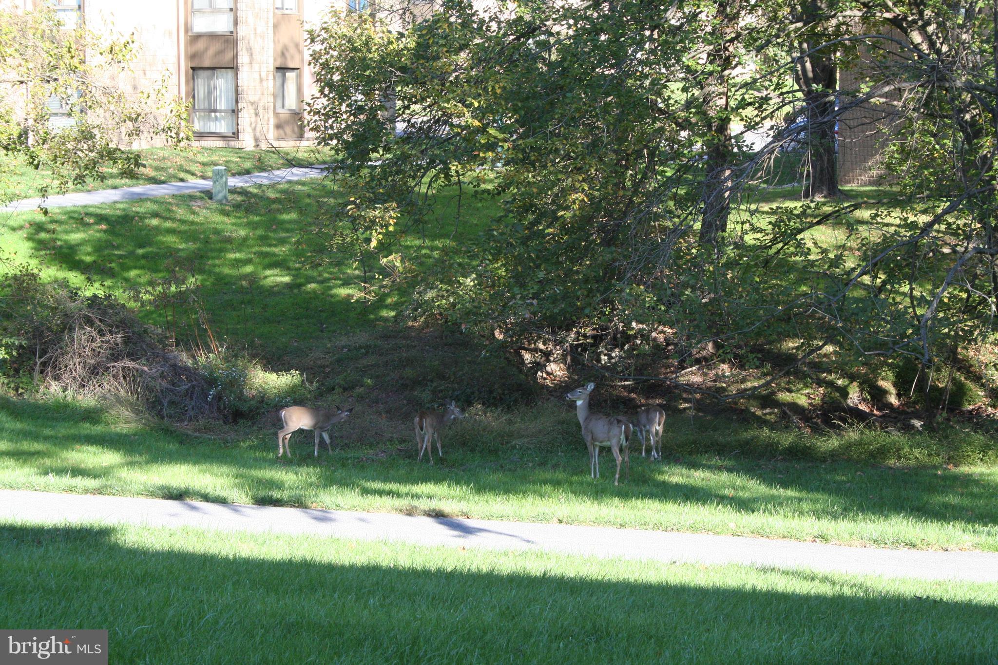 TREOVER - Residential