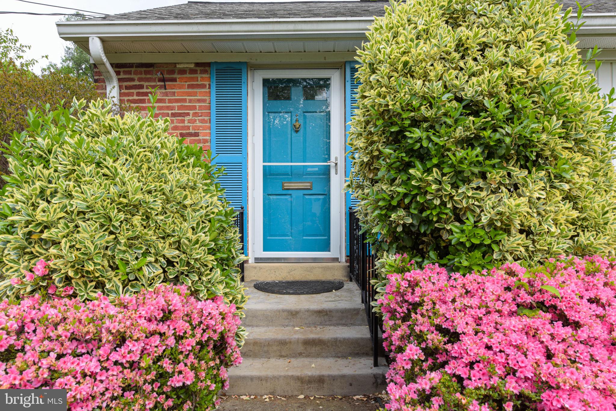 BRADDOCK HEIGHTS - Residential