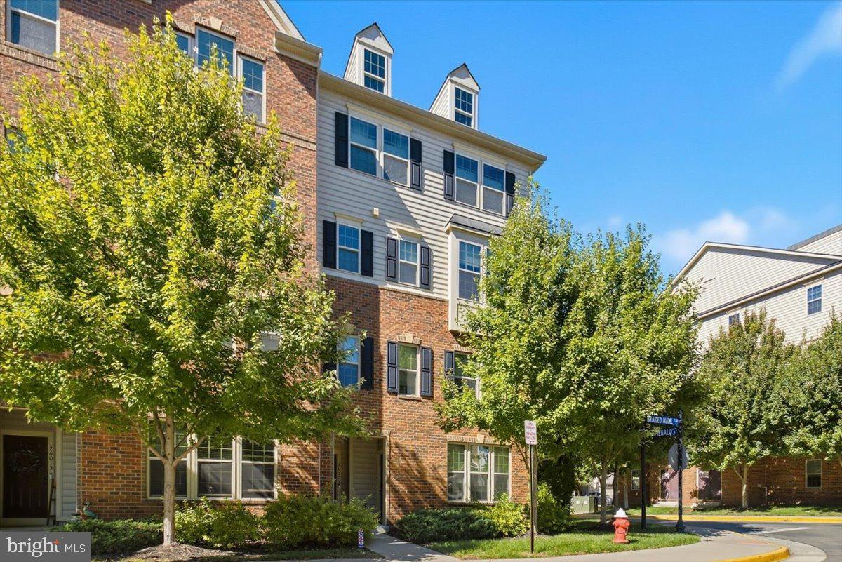 26007 BRAIDED MANE TERRACE
