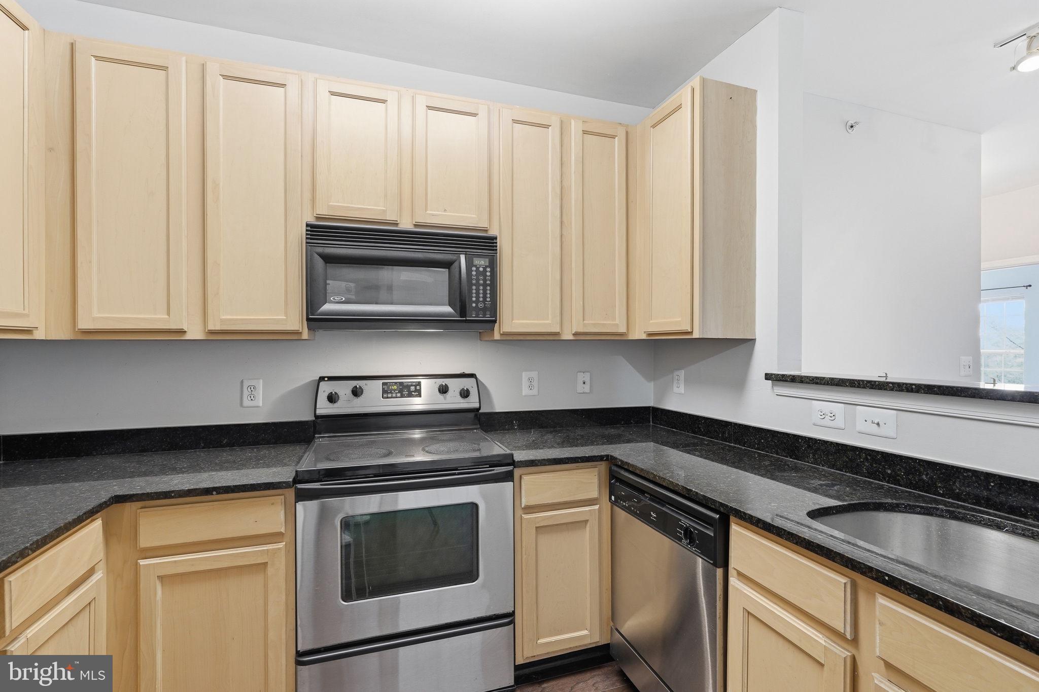 22607 BLUE ELDER TERRACE 303