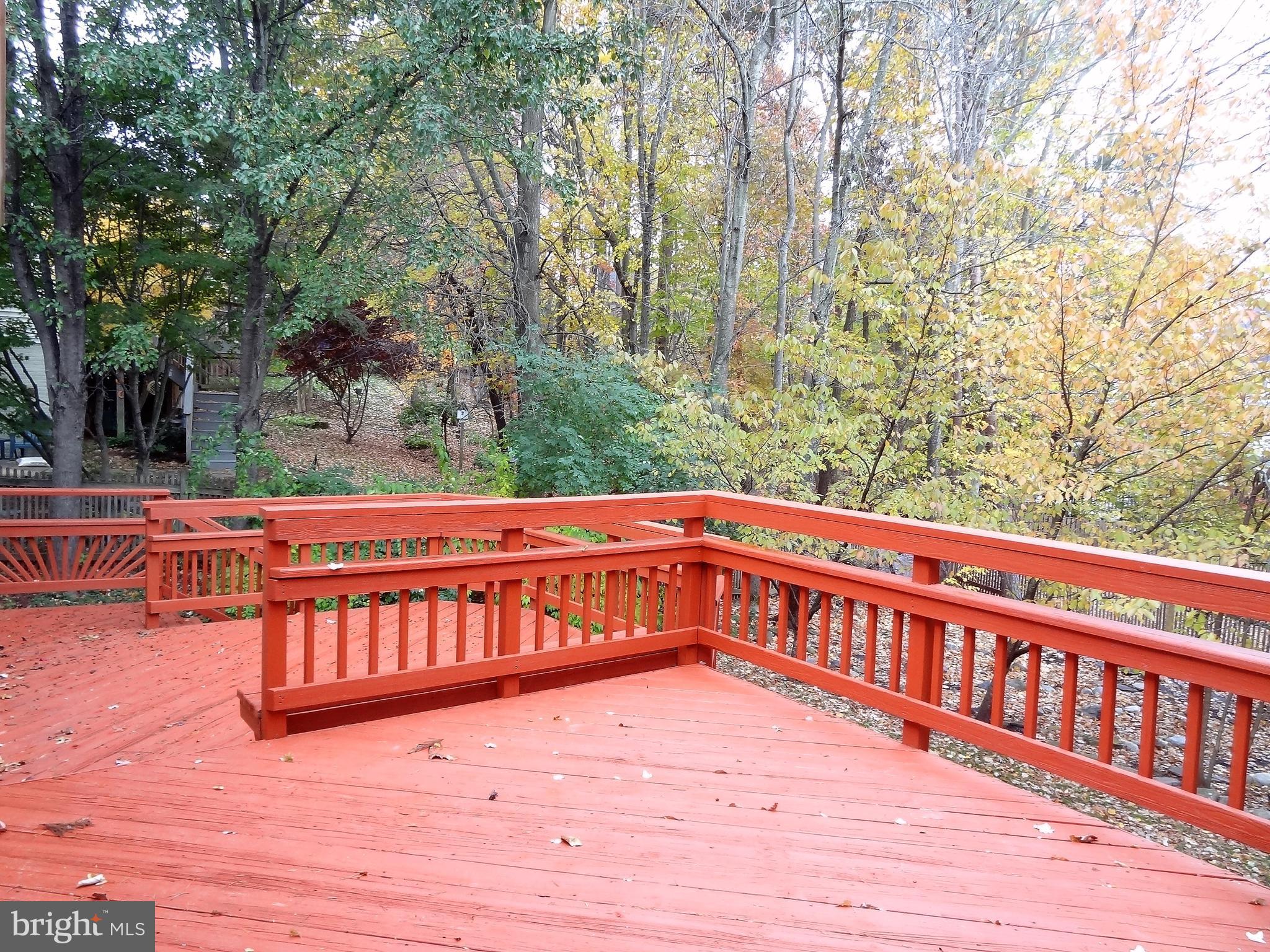 LITTLE ROCKY RUN - Residential Lease