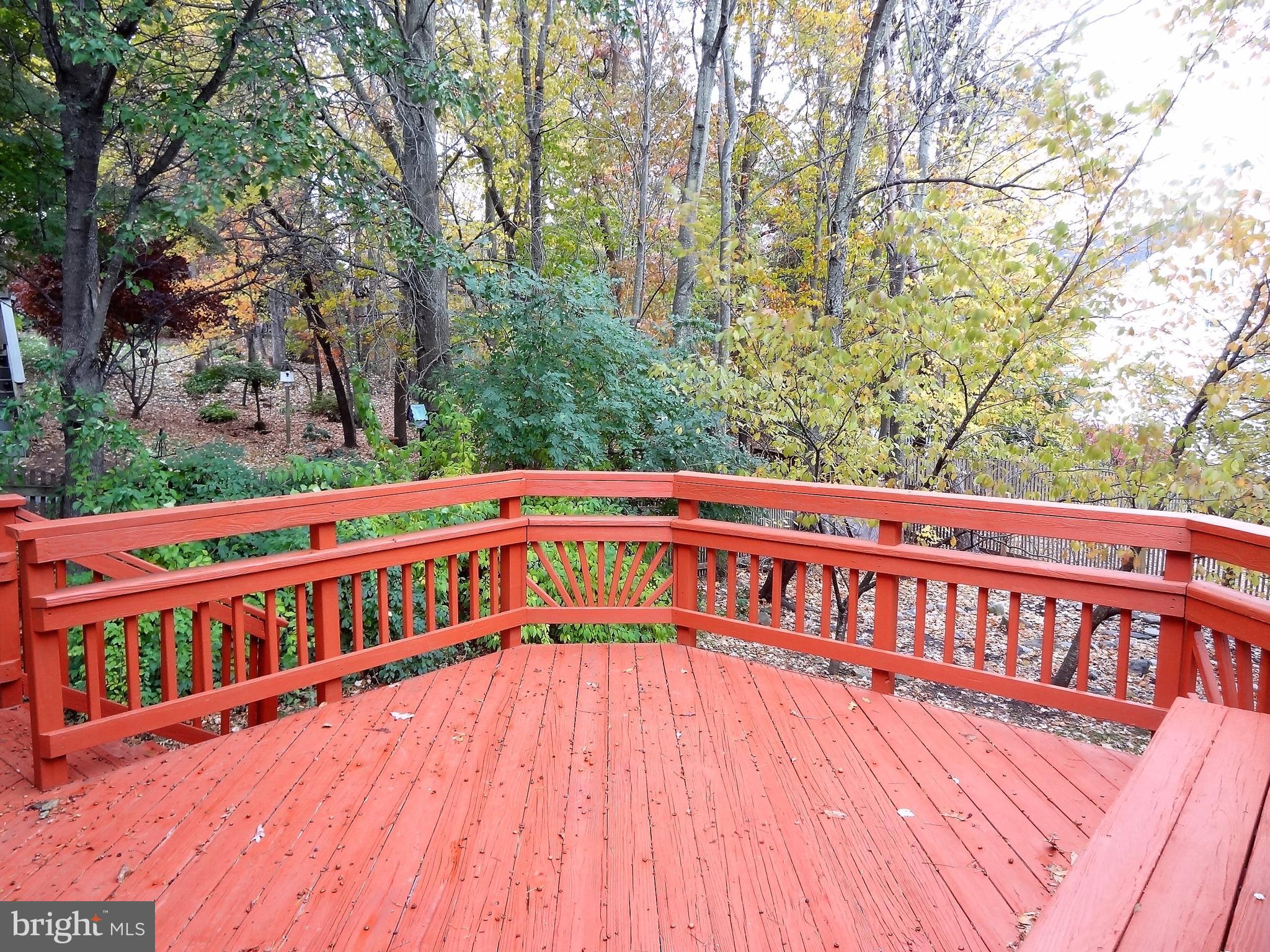 LITTLE ROCKY RUN - Residential Lease