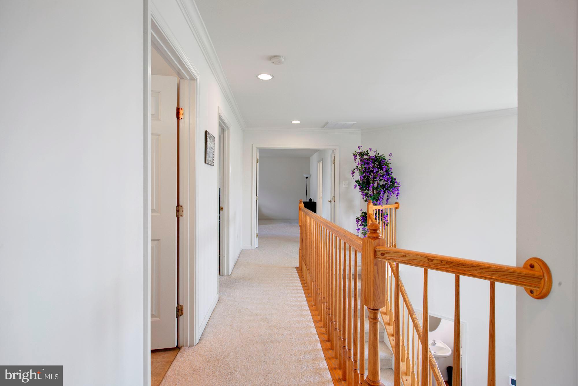 THE FALLS AT LEE'S PARKE - Residential