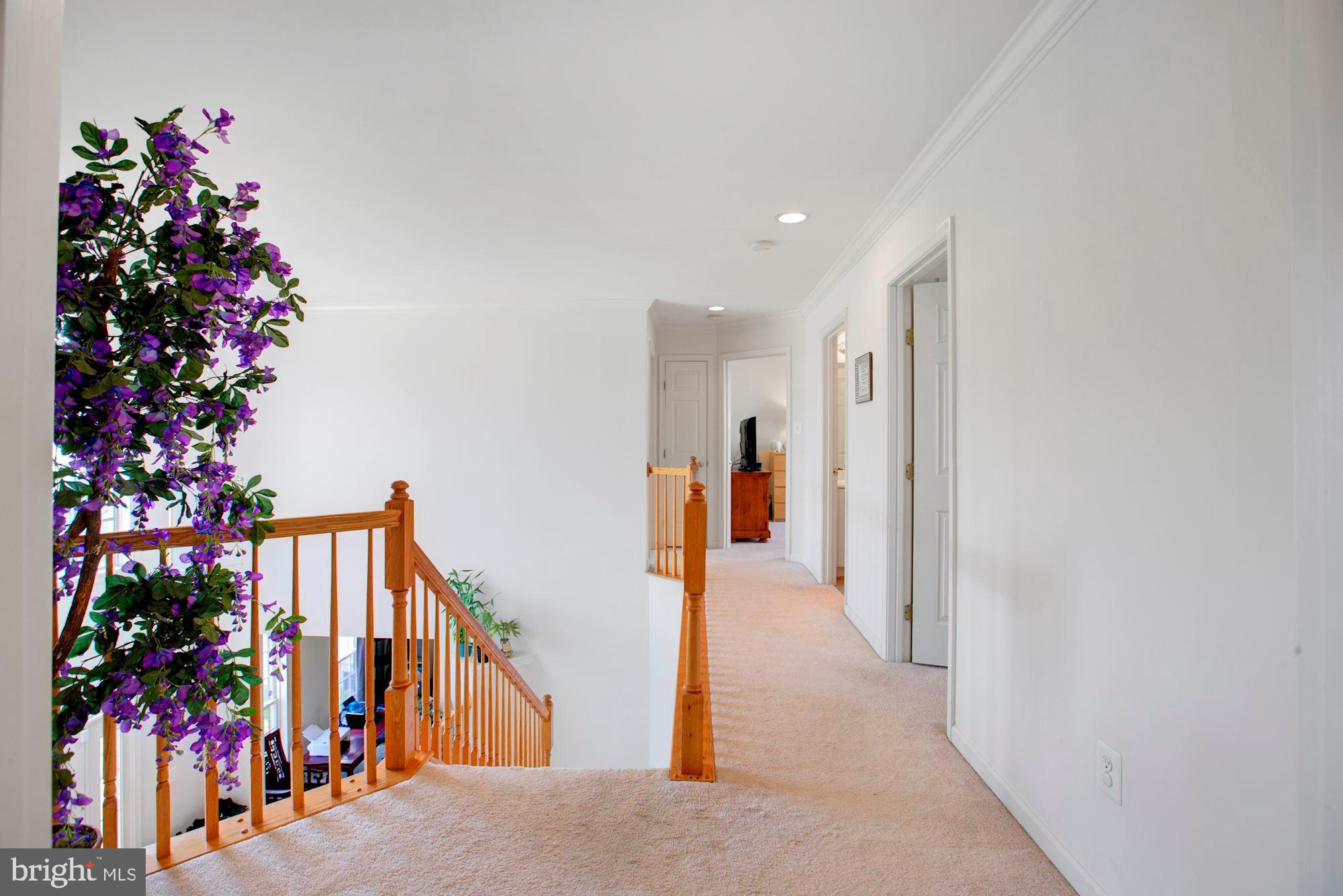 THE FALLS AT LEE'S PARKE - Residential