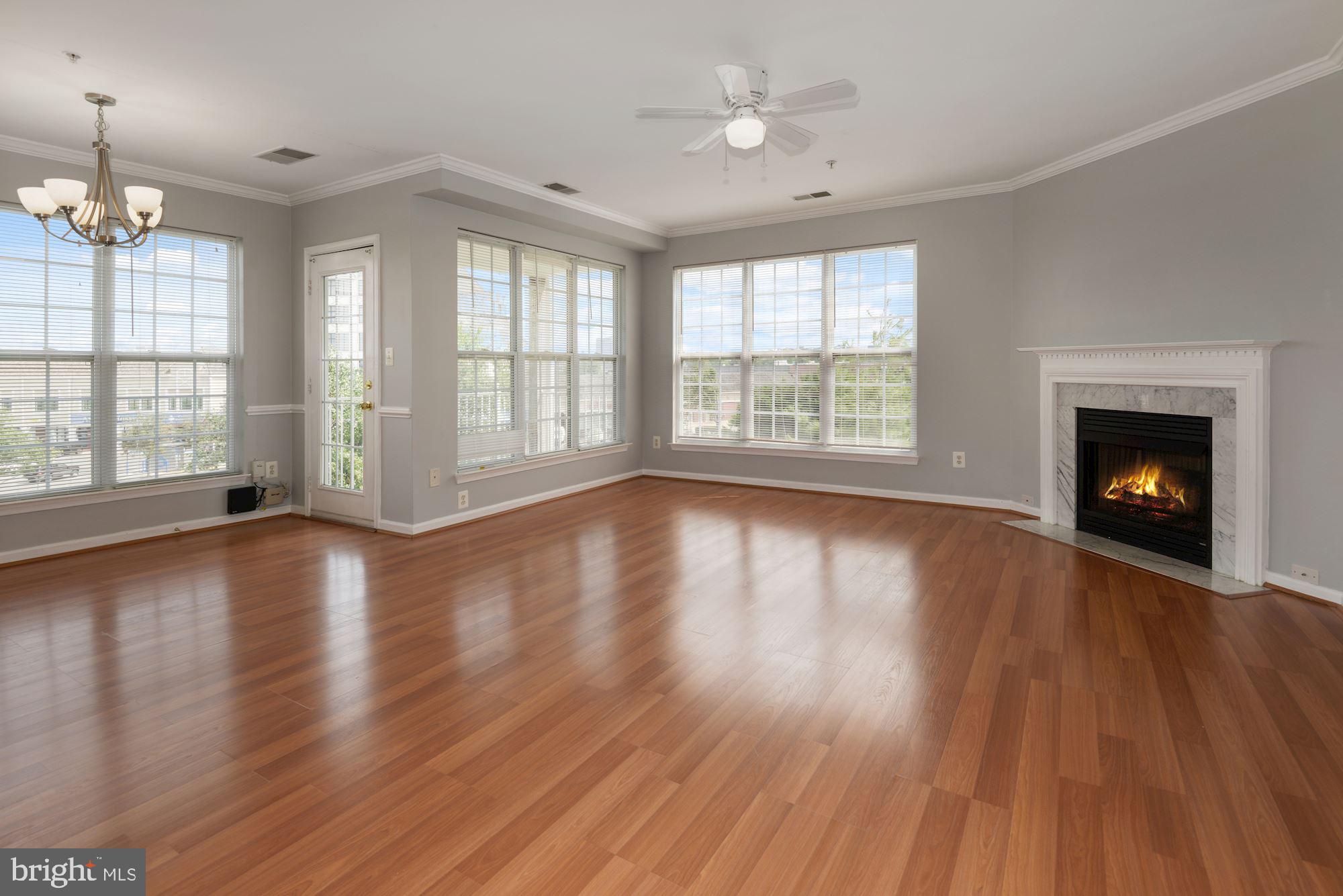 2480 ANGELINE DRIVE 302