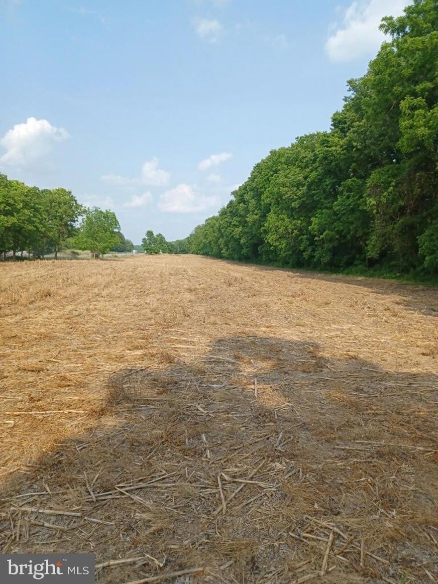 Sitting on 20 + Acres this remote location is perfect for a small farm area, animals and fields.   the corn fields are currently being used and will be harvested by the farmer this season.  Property had three separate residential structures, 2 mobiles and a home.  Mobiles are removed but working septic is in place for all three.  All three have been pumped out 8/17/22 .  3 acres can be used for 3 residential homes. 17 acres are currently  Clean and Green . Home needs some work, but you have great potential here, all potential uses other than residential and AG will have to be  approved by the township. Also included is a Hog Pen and Lean to Shed. Property being sold "as is"  Property backs up to the PA Turnpike but no direct access from property.  May have great development potential for investors.   EASY COMUTING...