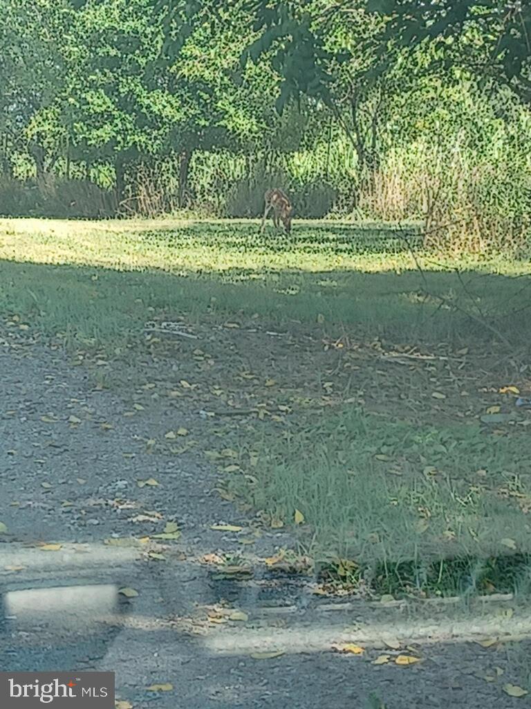 WEST PENNSBORO TWP - Residential