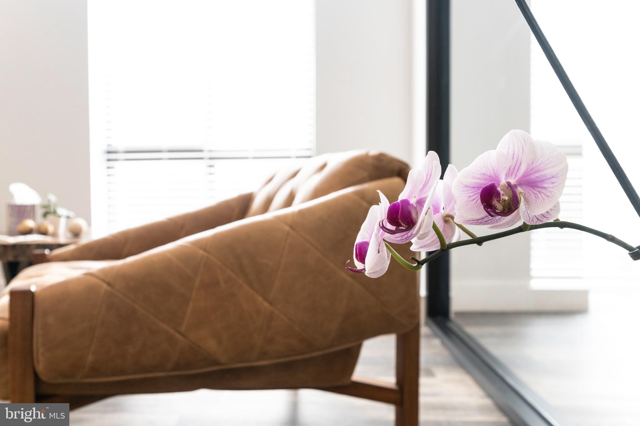 6255 EXECUTIVE BOULEVARD 201