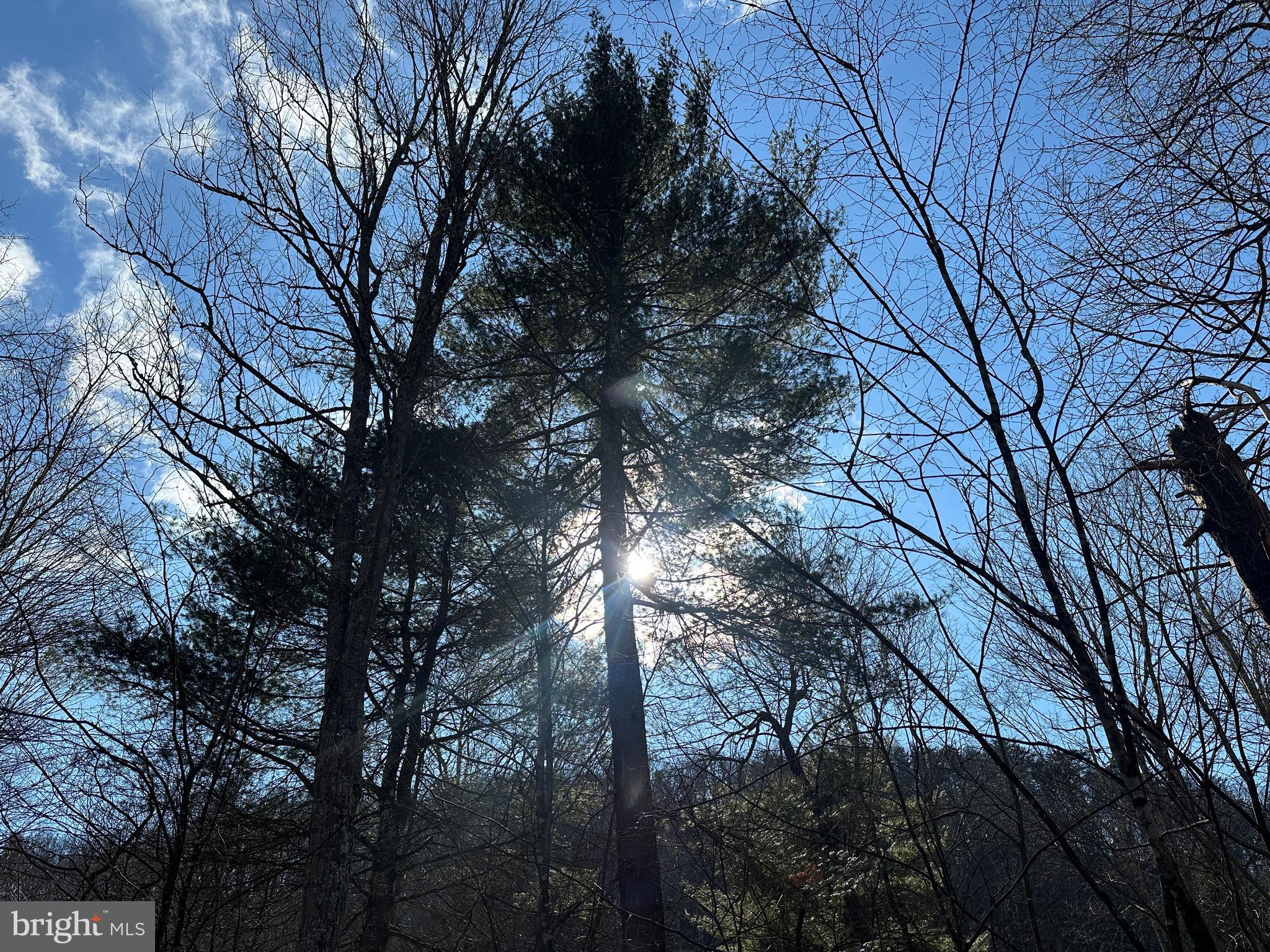 BLUFFS ON THE POTOMAC - Land