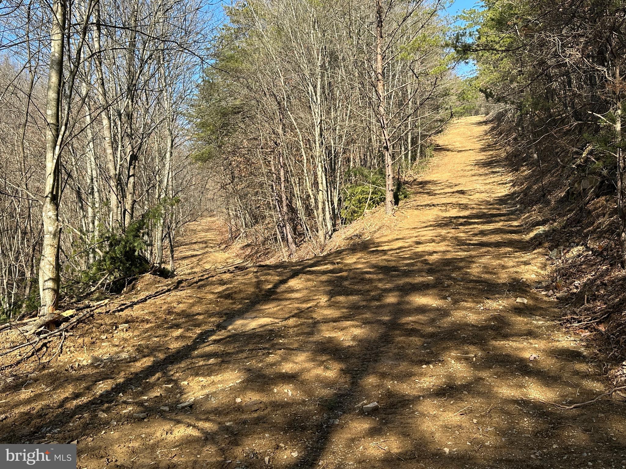 BLUFFS ON THE POTOMAC - Land