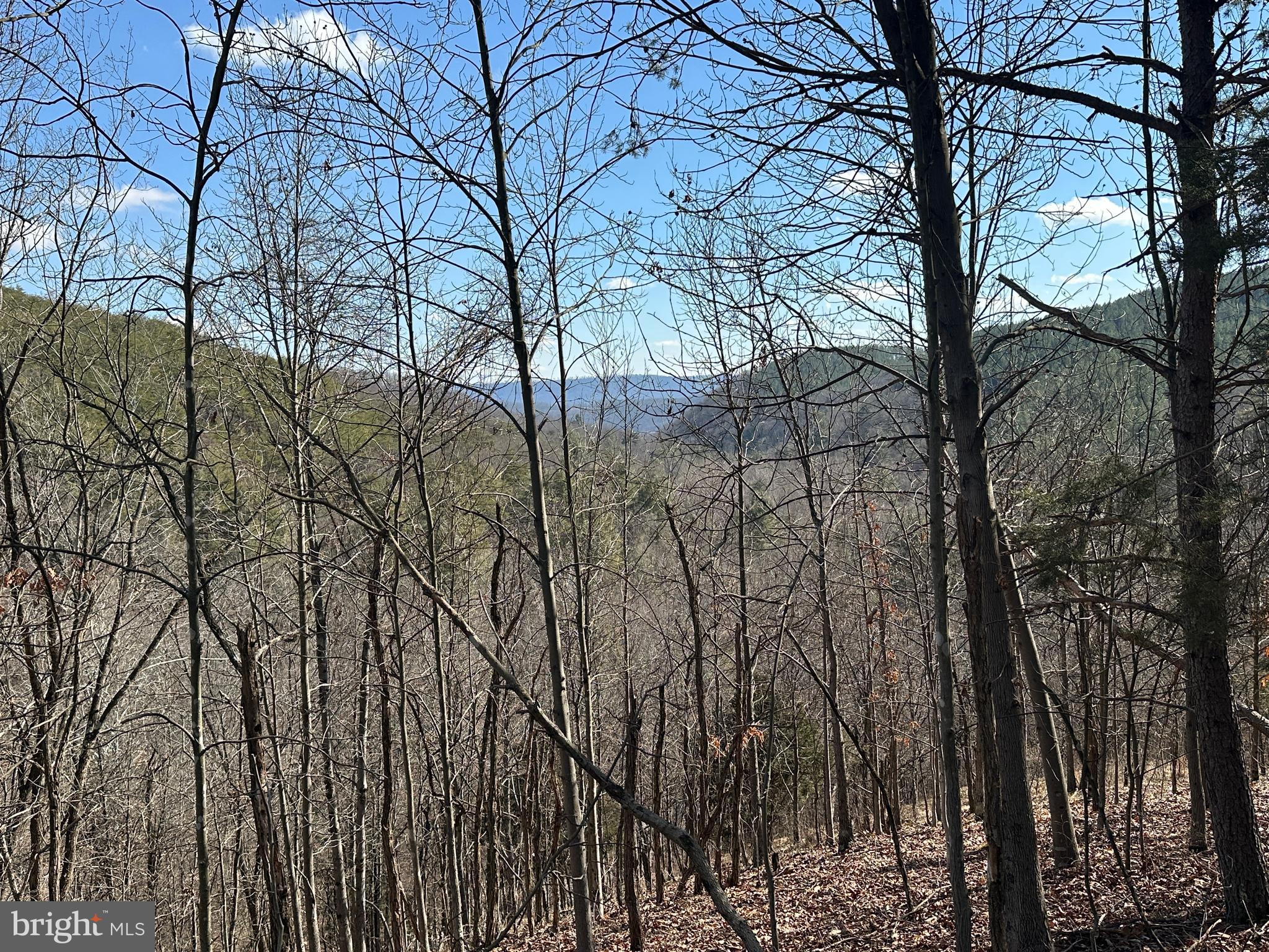 BLUFFS ON THE POTOMAC - Land