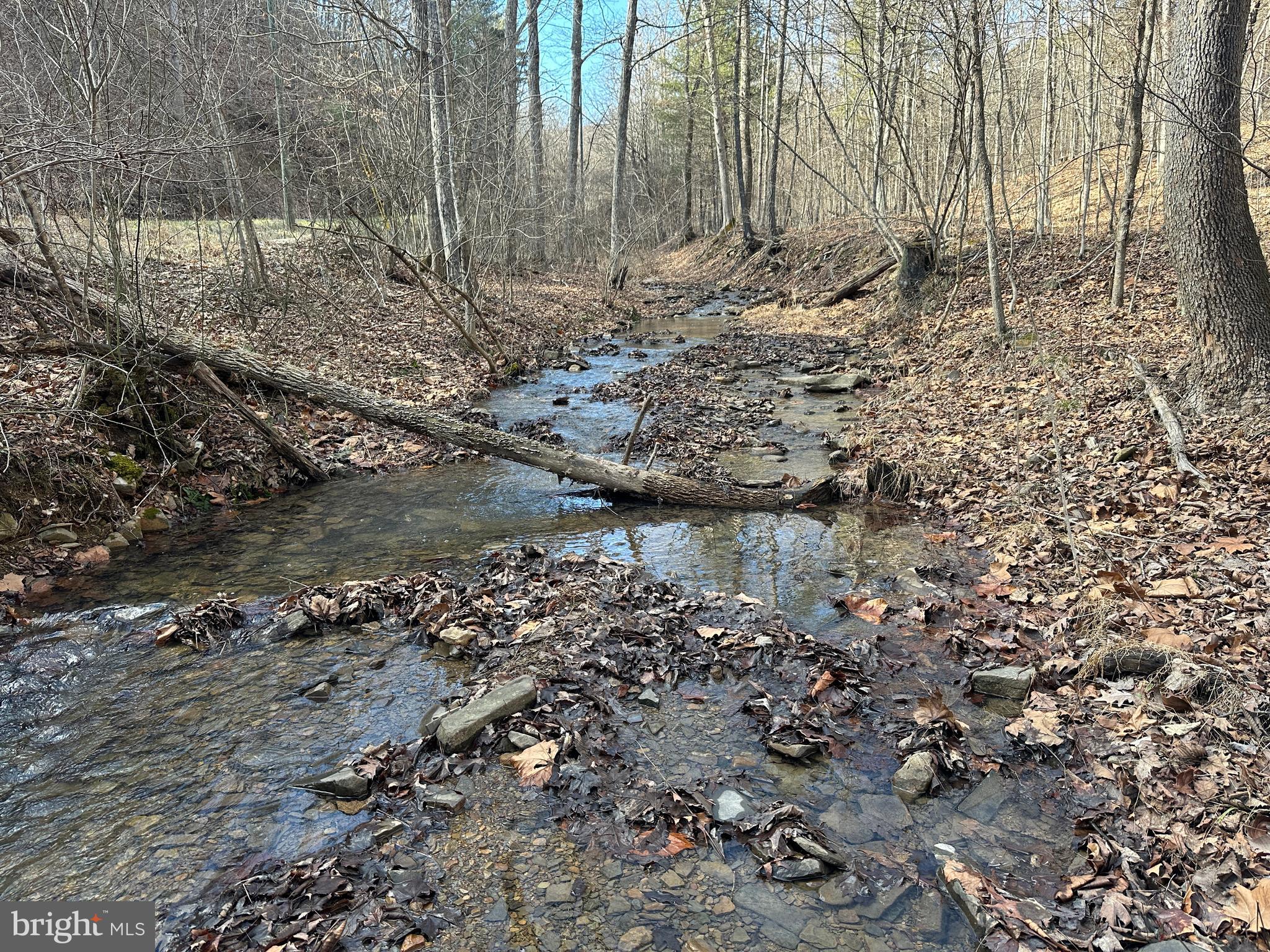BLUFFS ON THE POTOMAC - Land