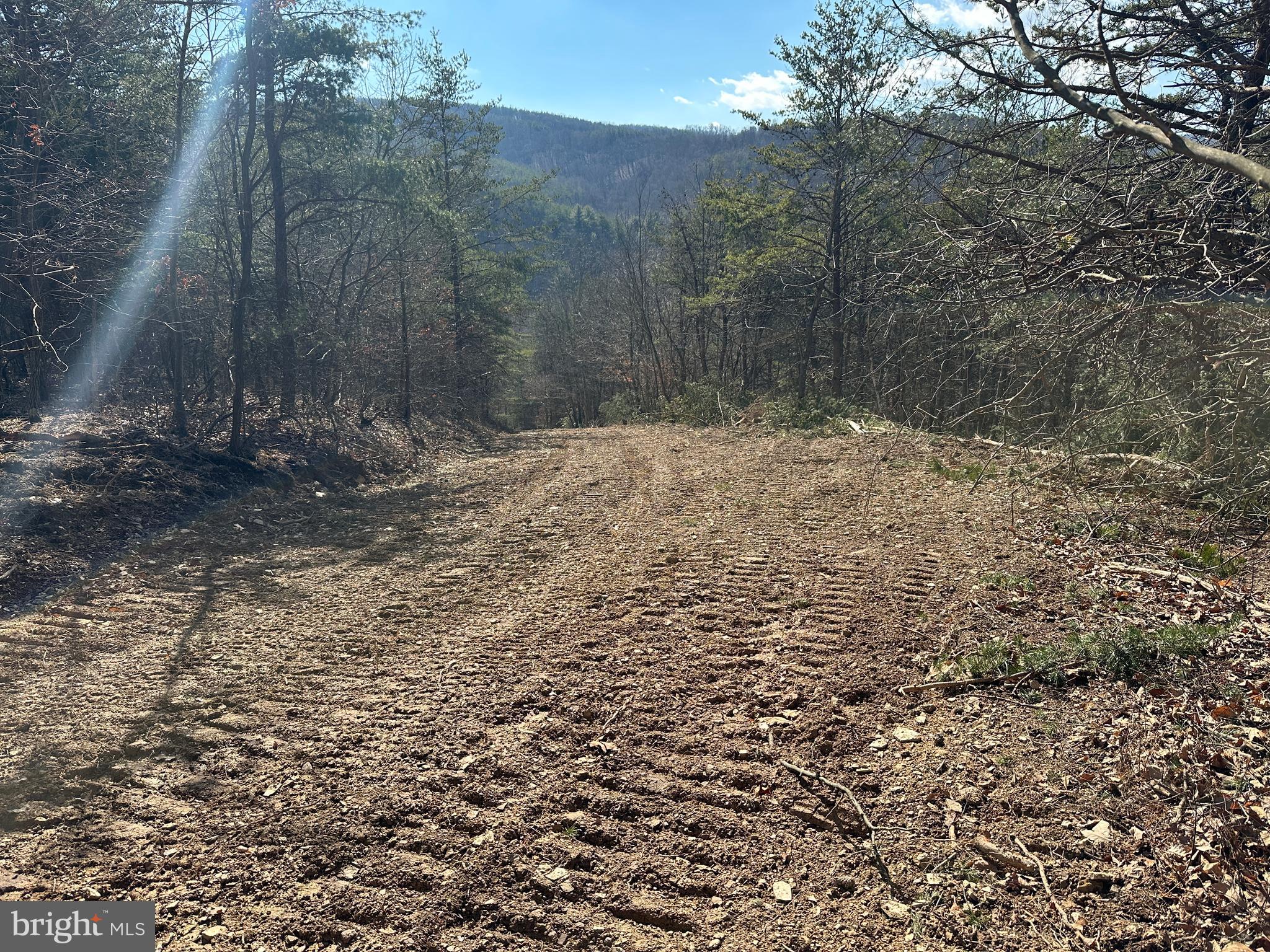 BLUFFS ON THE POTOMAC - Land